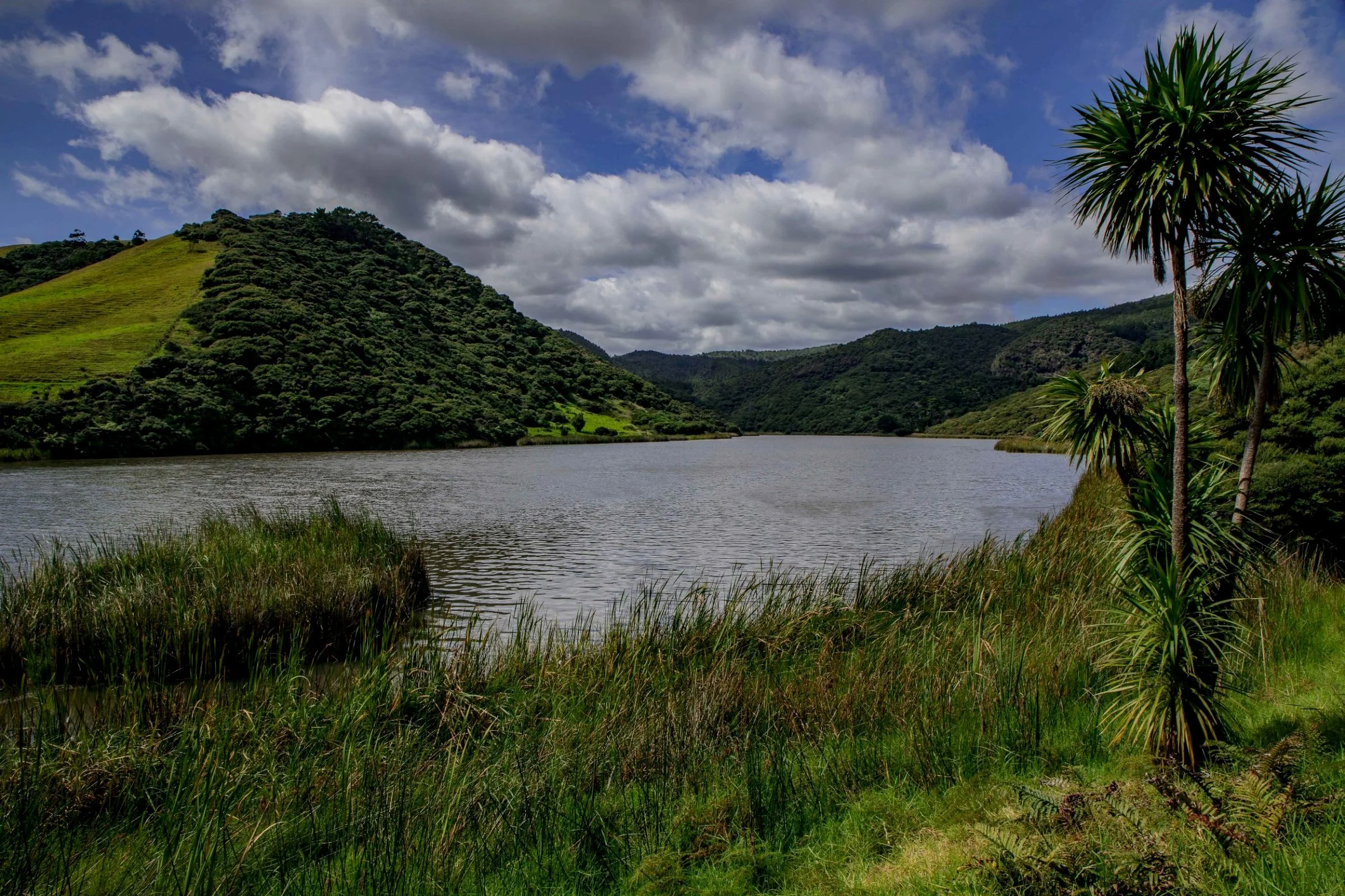 Lake Wainamu,Te Henga,-094.JPG