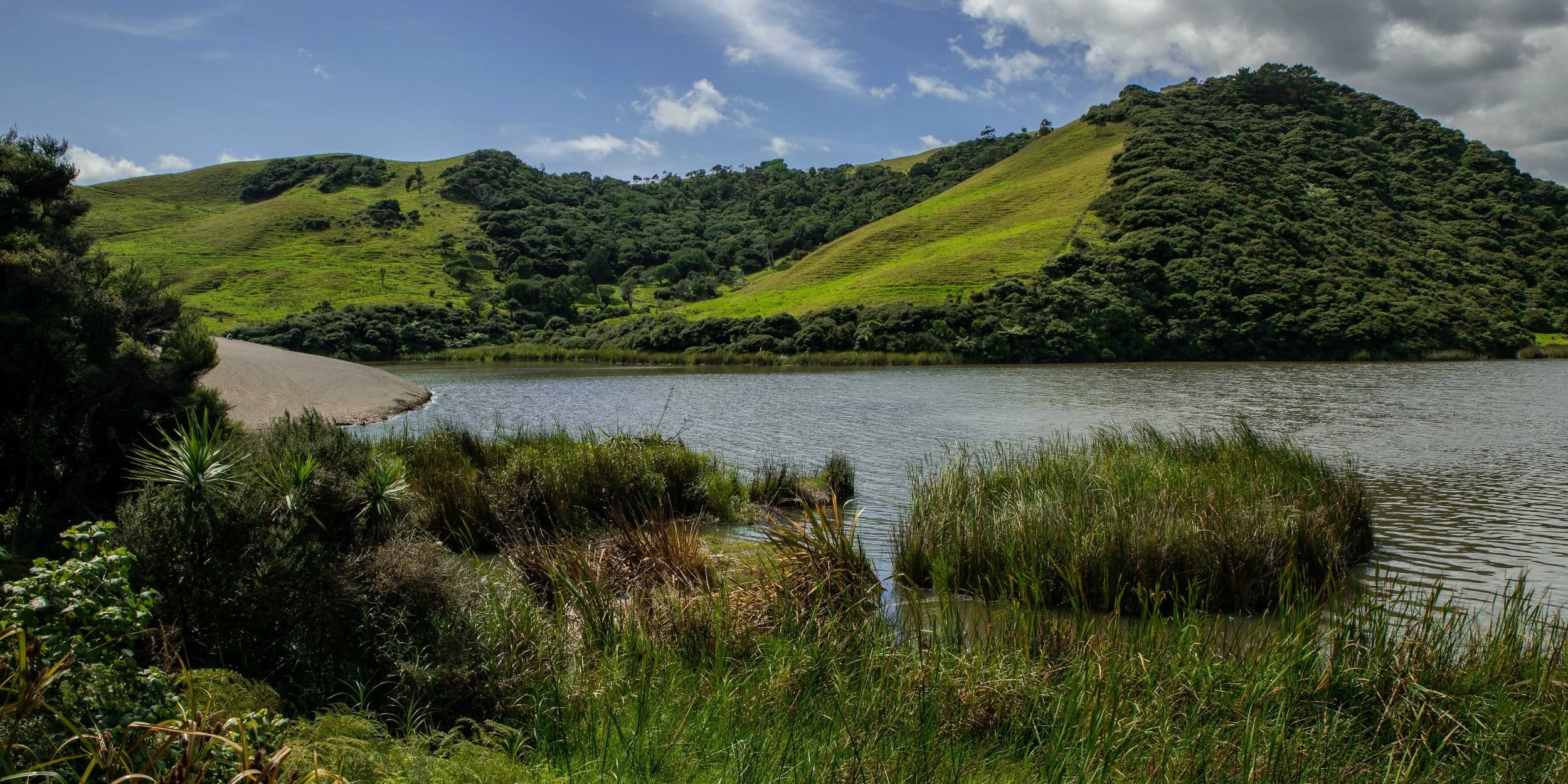 Lake Wainamu,Te Henga,-097.JPG
