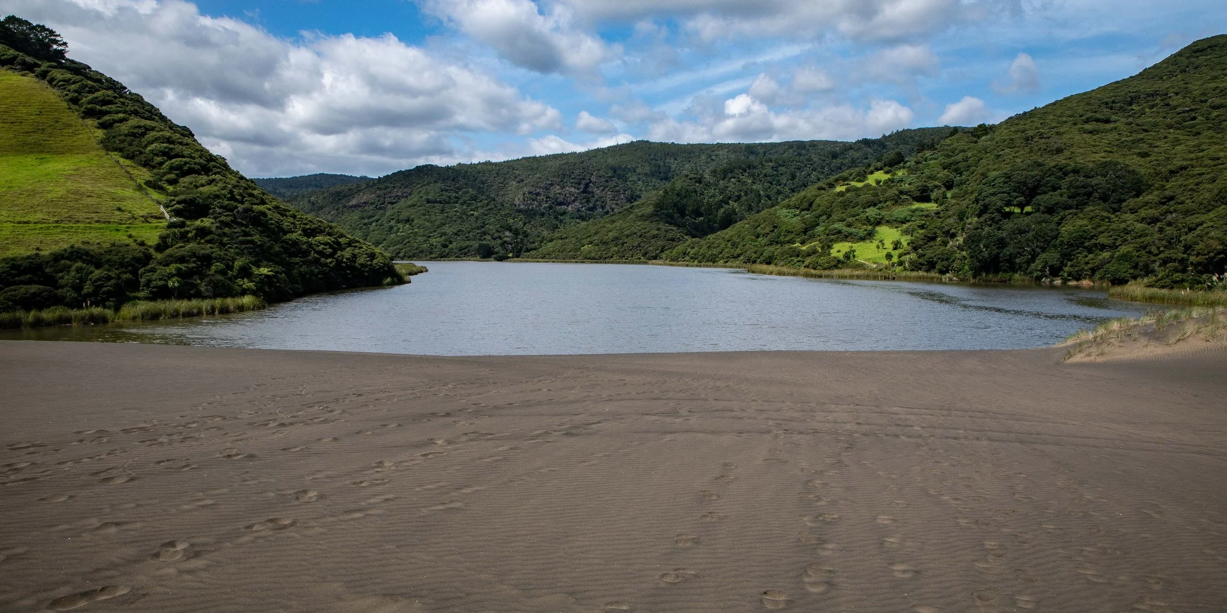 Lake Wainamu,Te Henga,-106.JPG