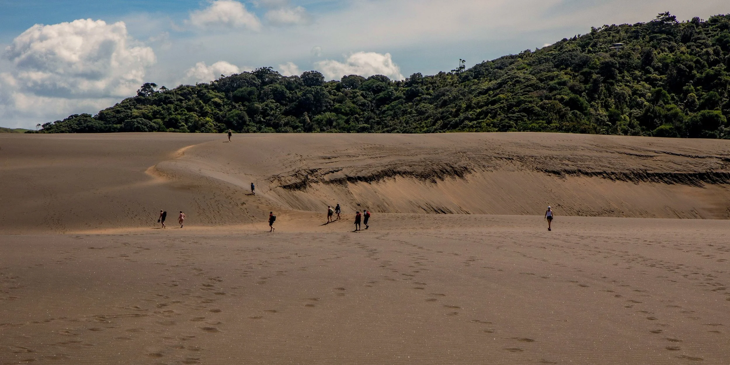Lake Wainamu,Te Henga,-108.JPG