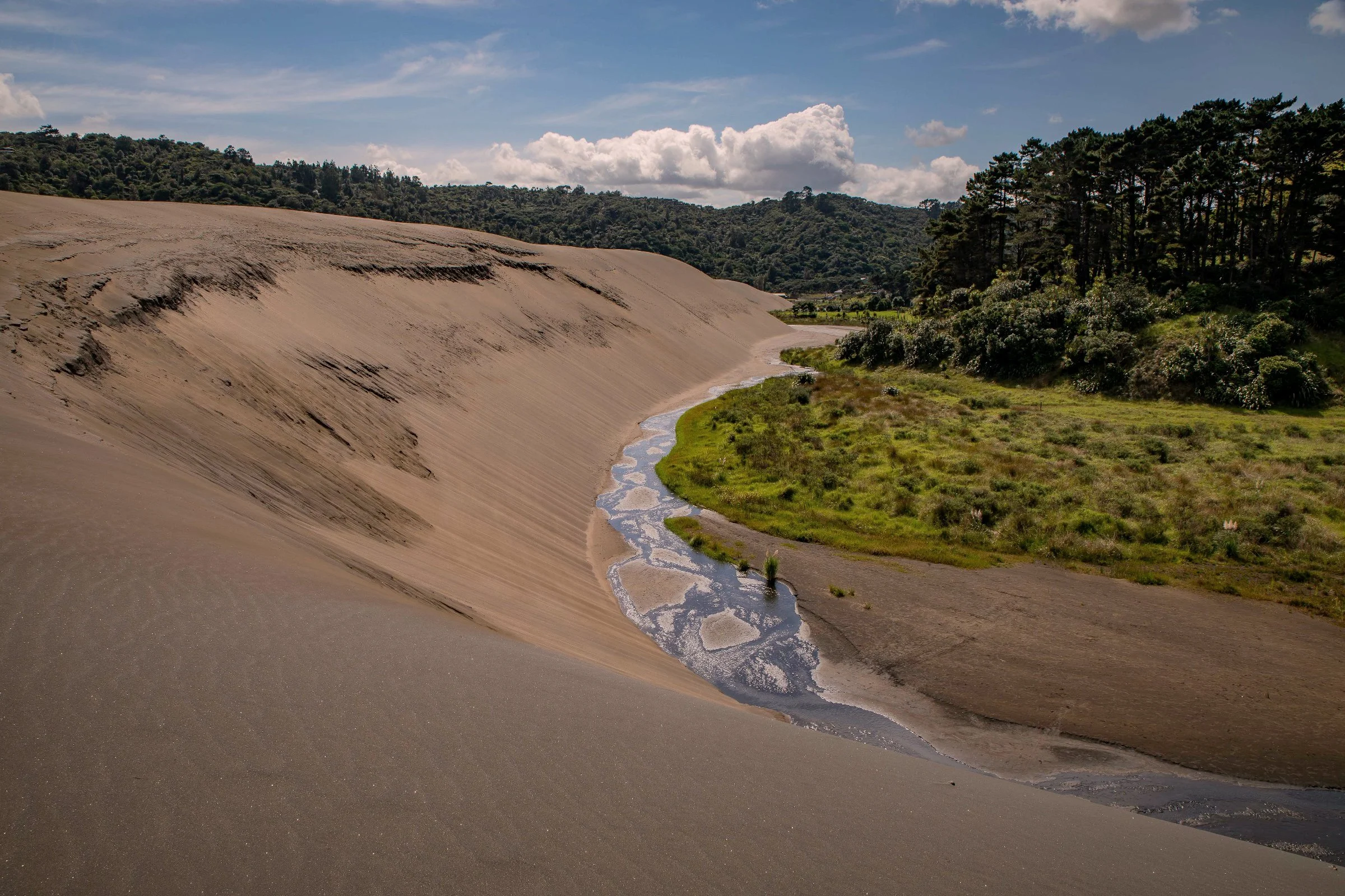 Lake Wainamu,Te Henga,-112.JPG