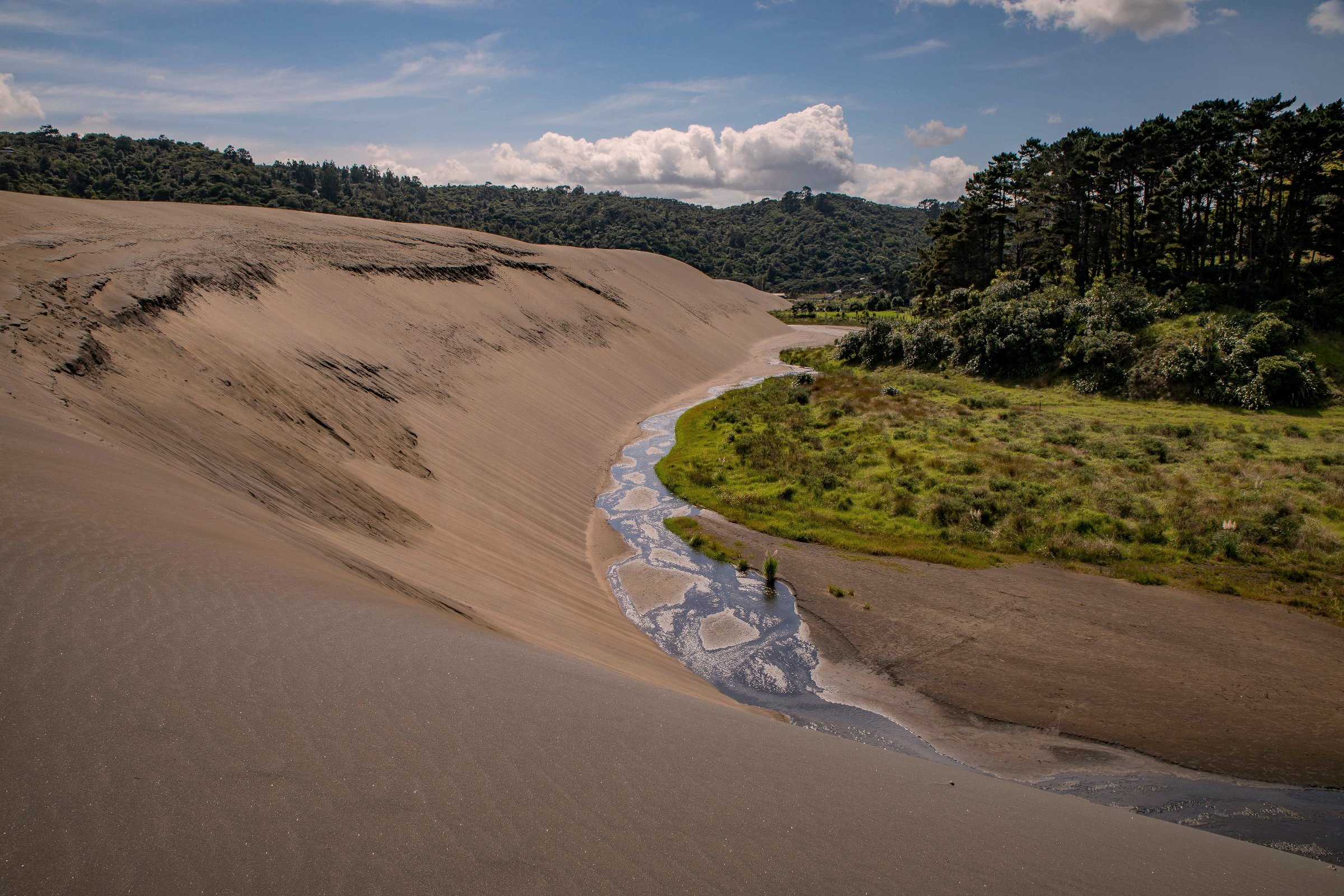 Lake Wainamu,Te Henga,-112.JPG