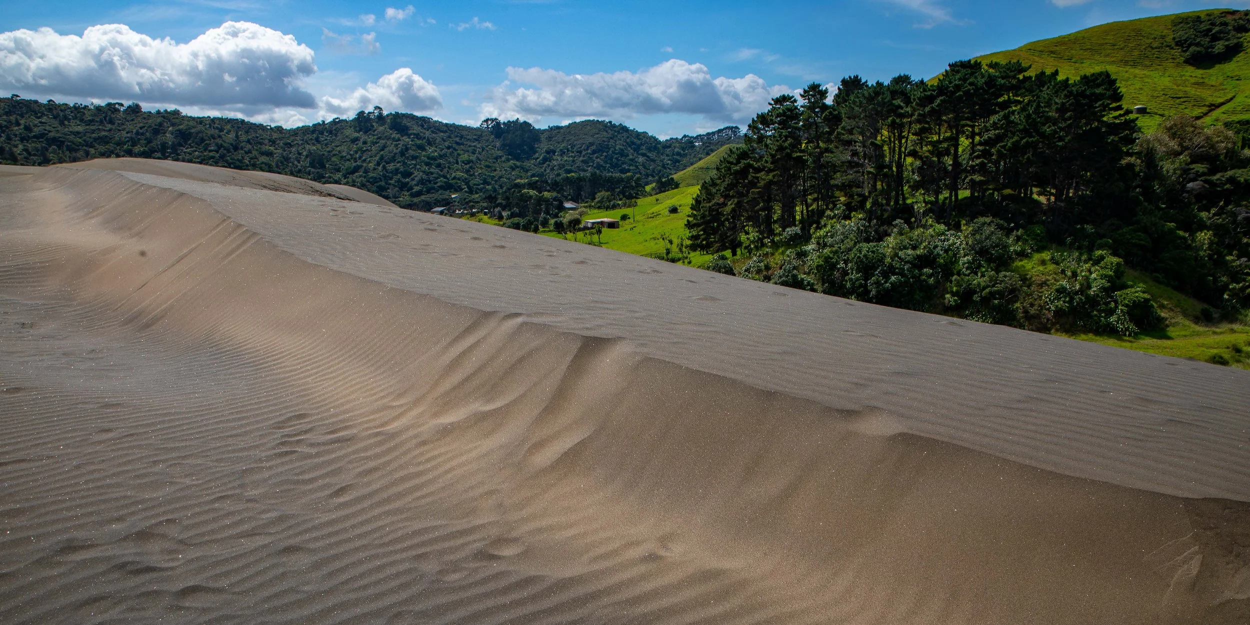 Lake Wainamu,Te Henga,-115.JPG