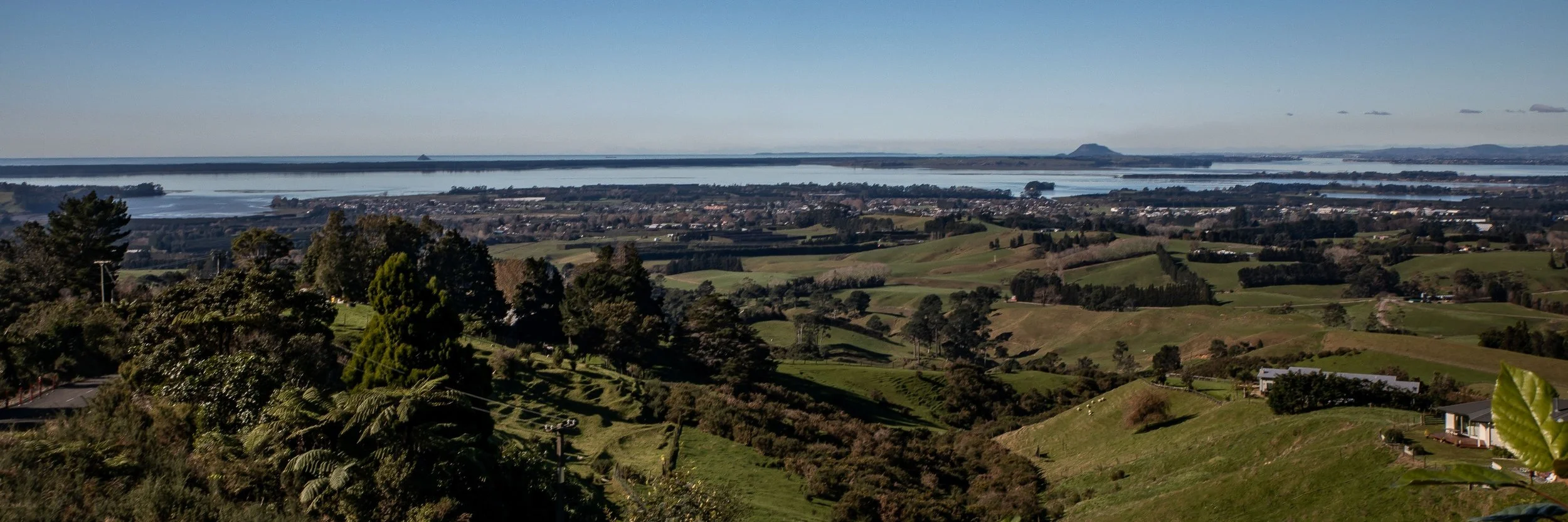 BOP,Matakana Is Lookout,-111.JPG