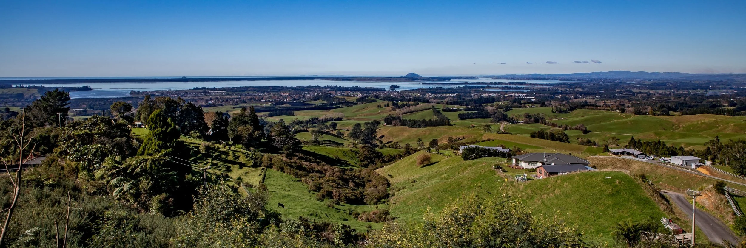 BOP,Matakana Is Lookout,-112.JPG