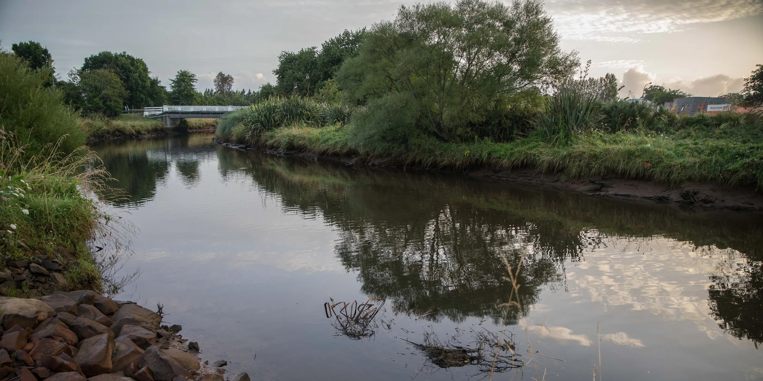 Katikati,Haiku Pathway,-797.JPG