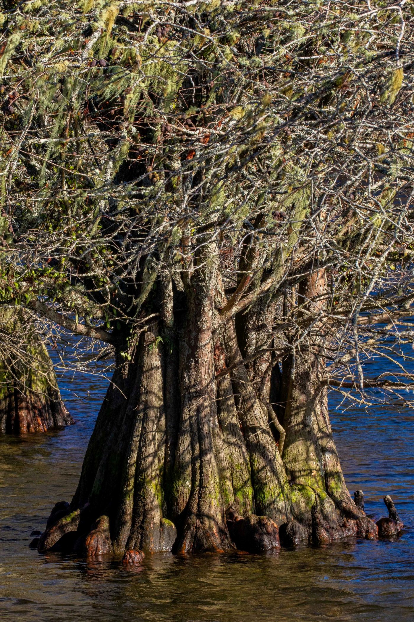 McLaren Falls Park,-008.JPG