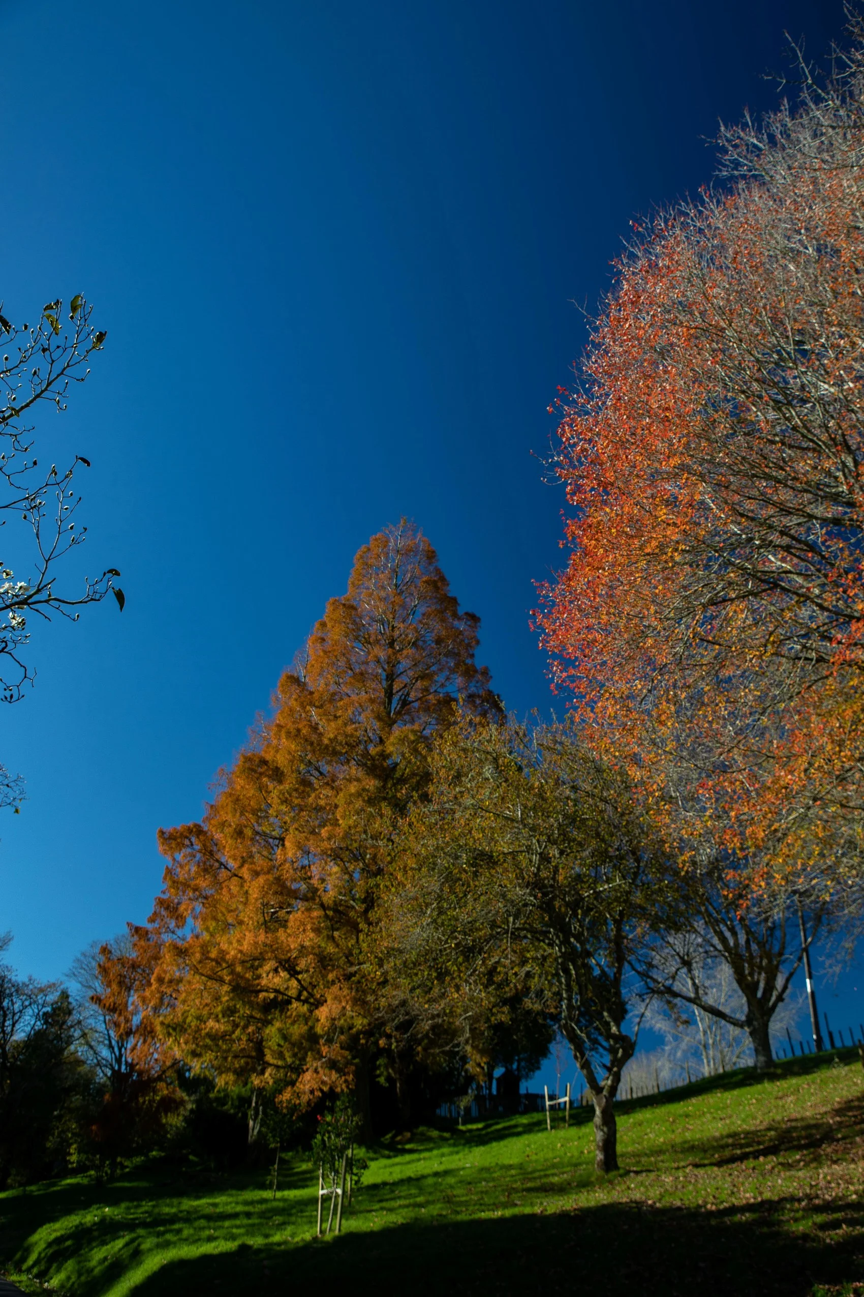 McLaren Falls Park,-136.JPG