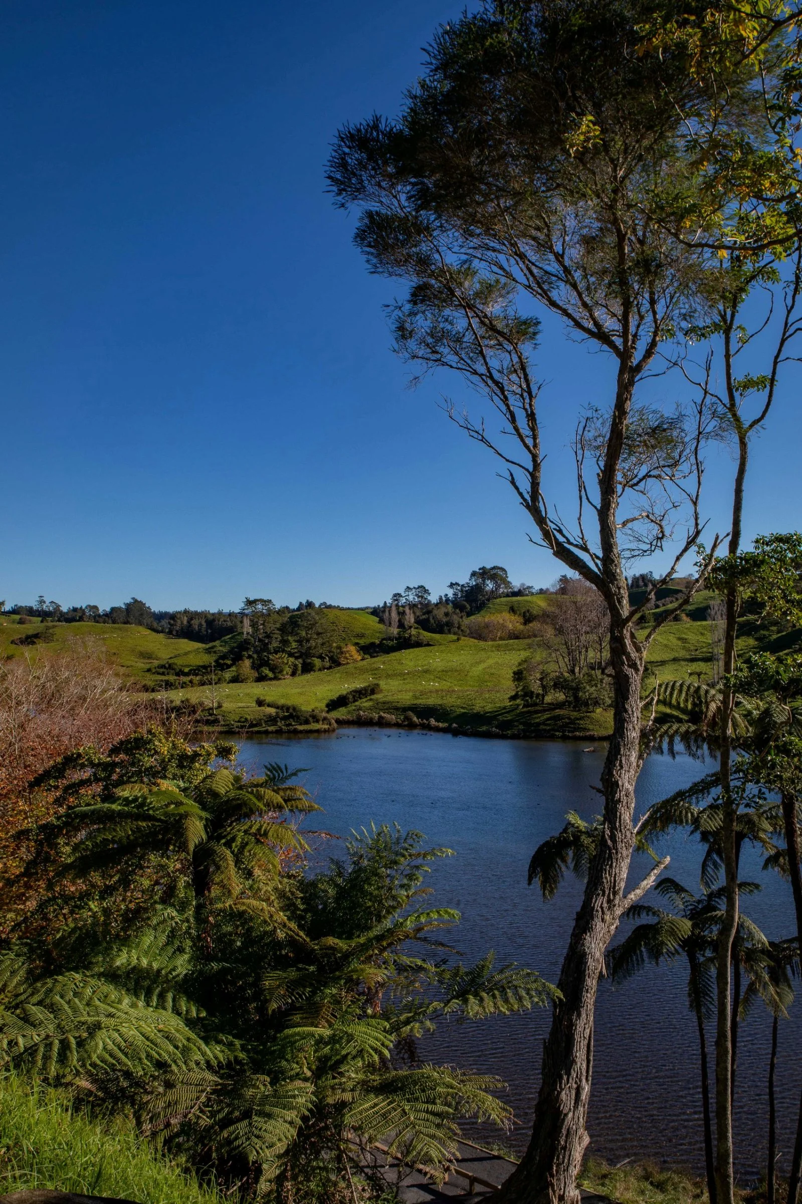 McLaren Falls Park,-140.JPG