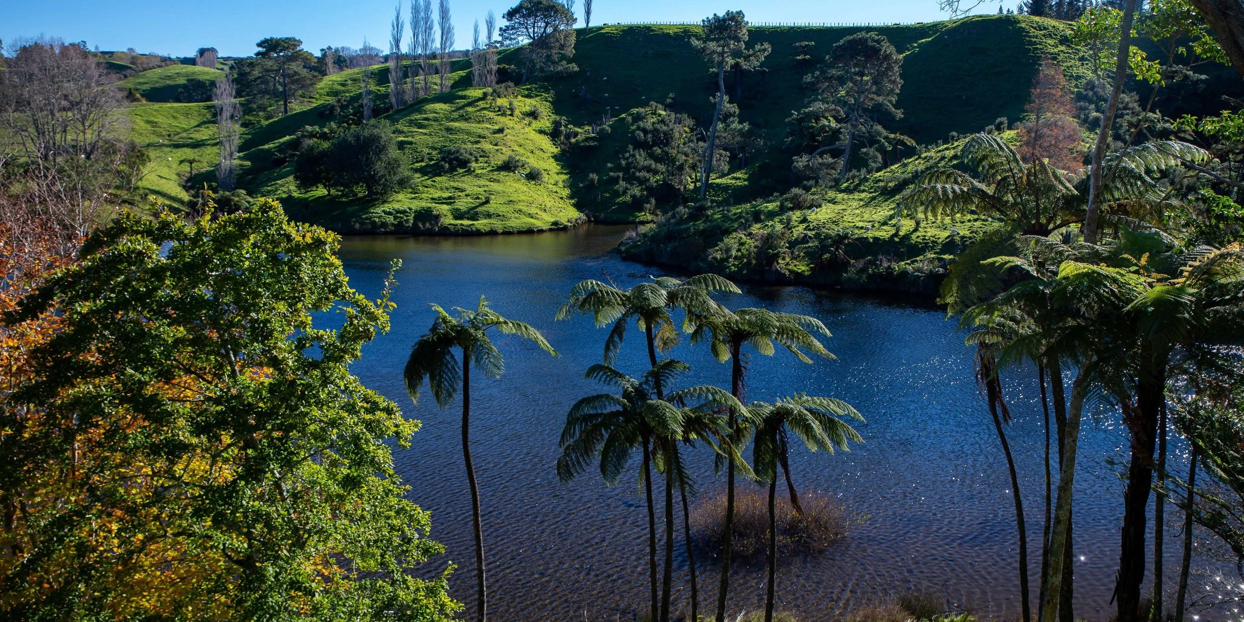 McLaren Falls Park,-138.JPG