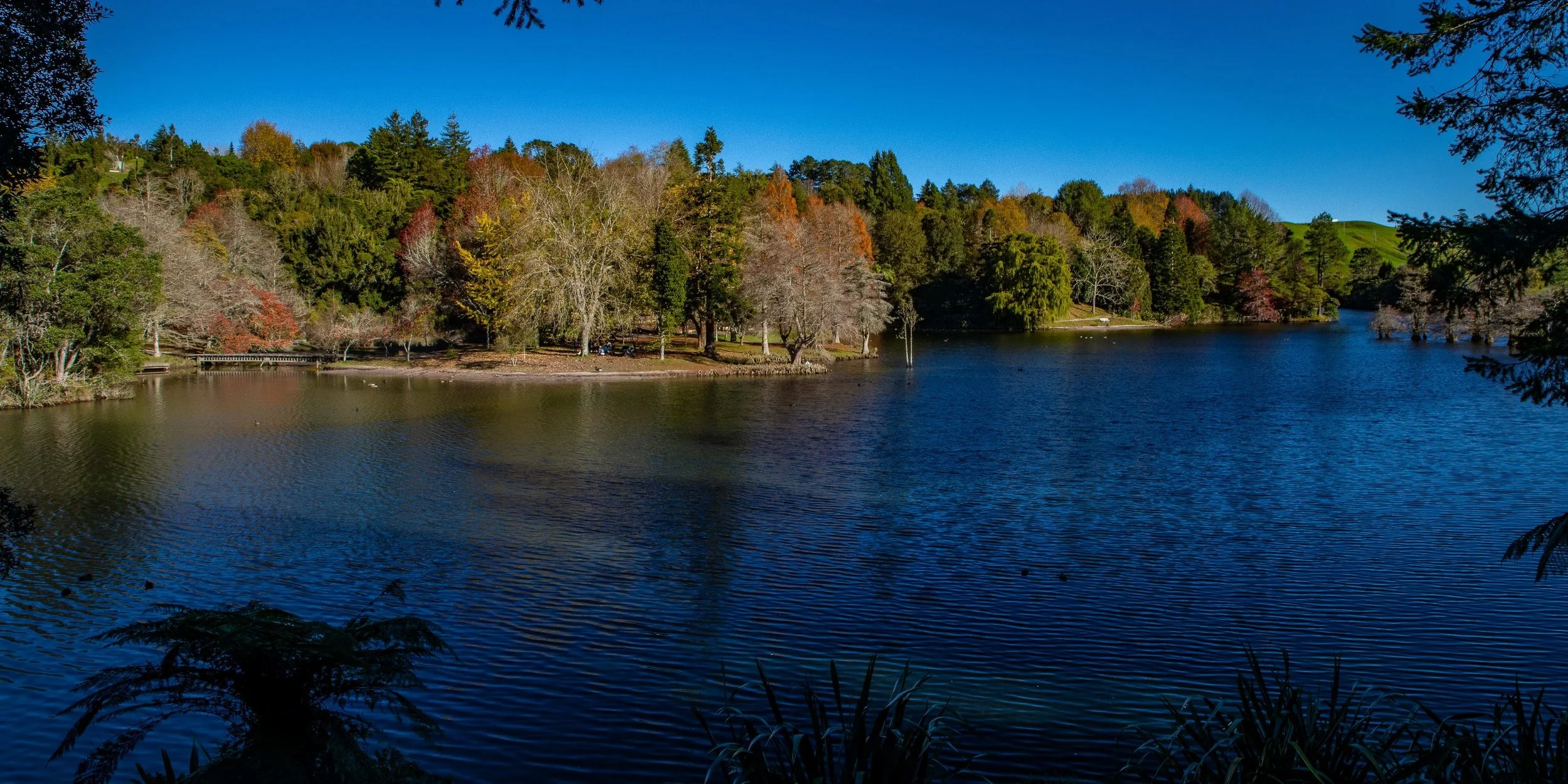 McLaren Falls Park,-141.JPG