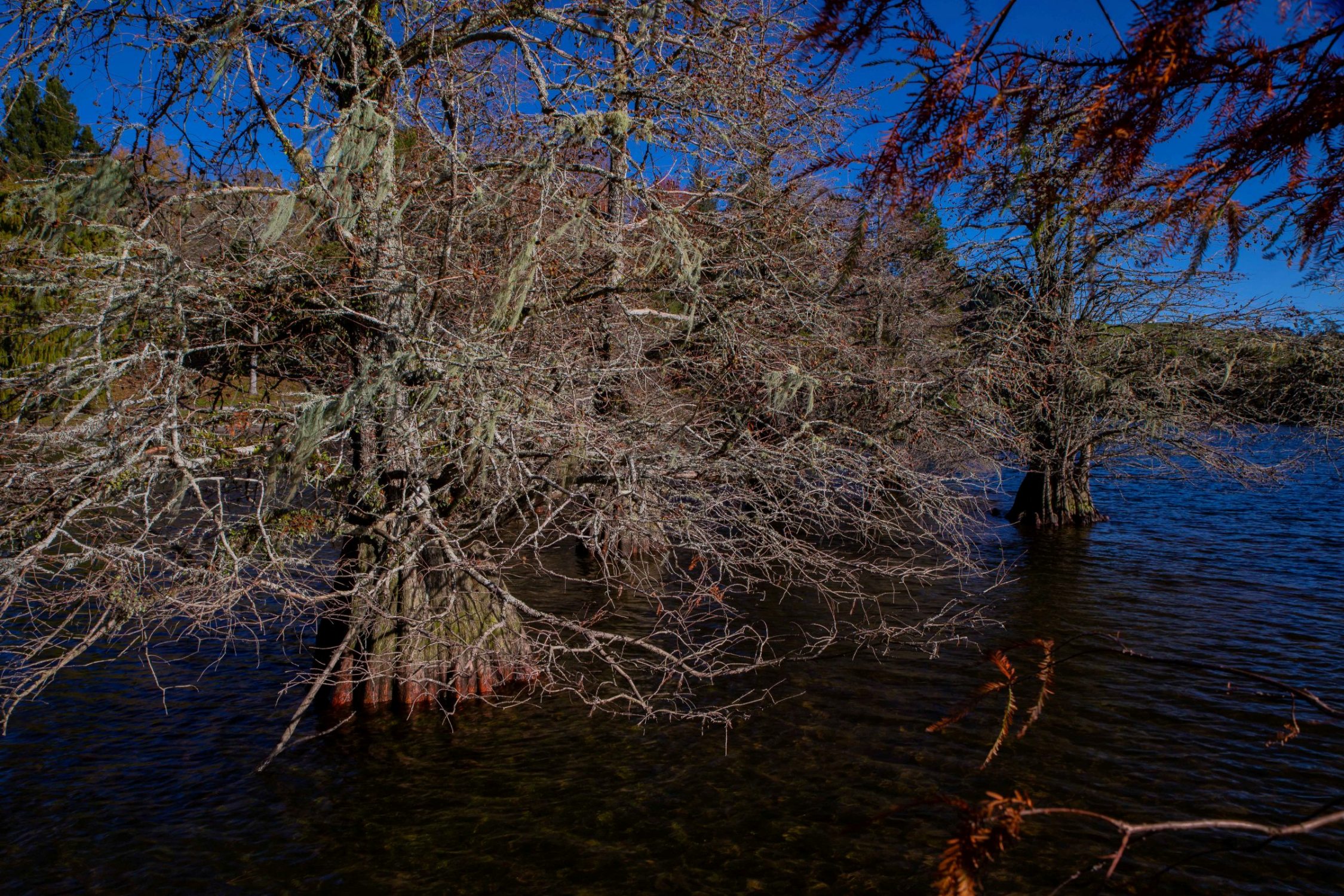 McLaren Falls Park,-148.JPG