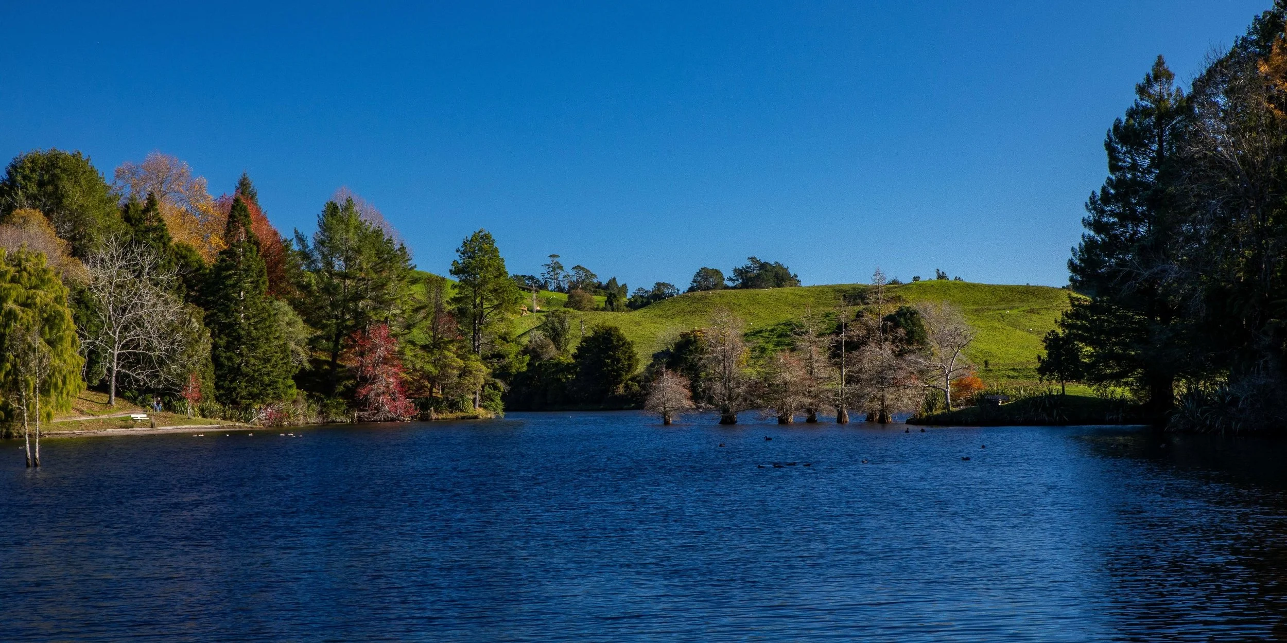 McLaren Falls Park,-150.JPG