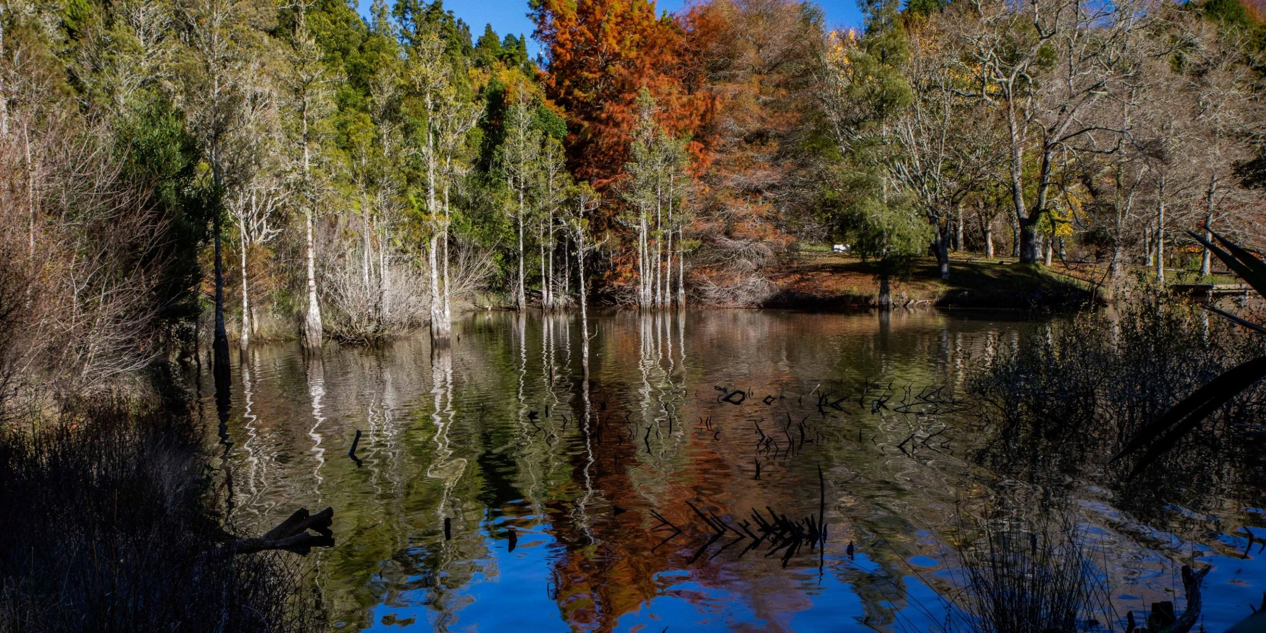 McLaren Falls Park,-158.JPG