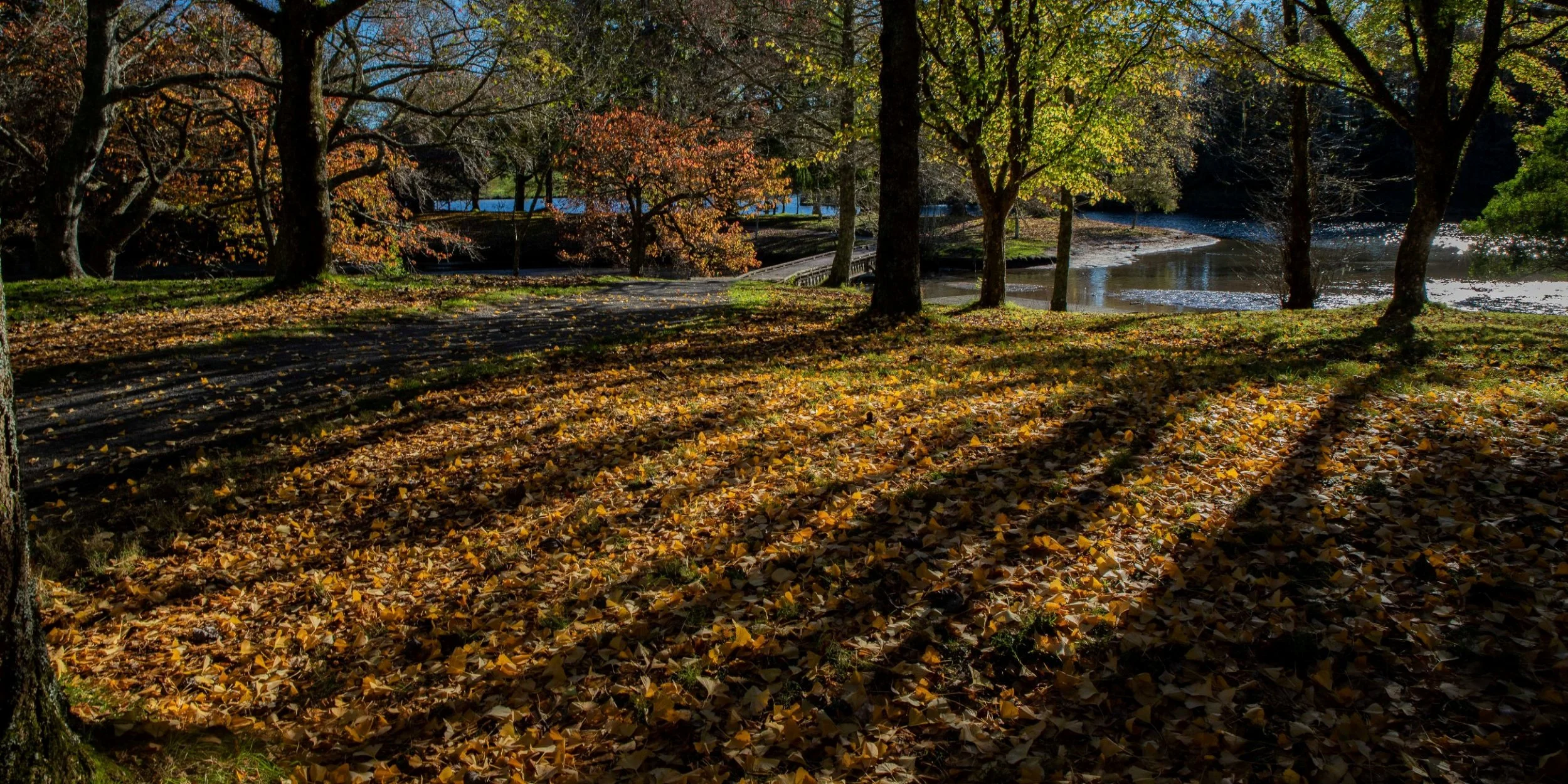 McLaren Falls Park,-164.JPG