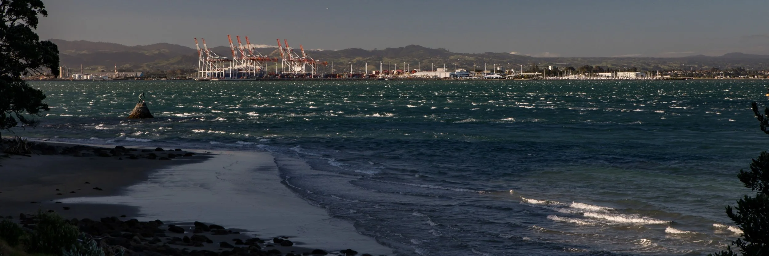 Mt Maunganui,Port Of Tauranga,-985.JPG