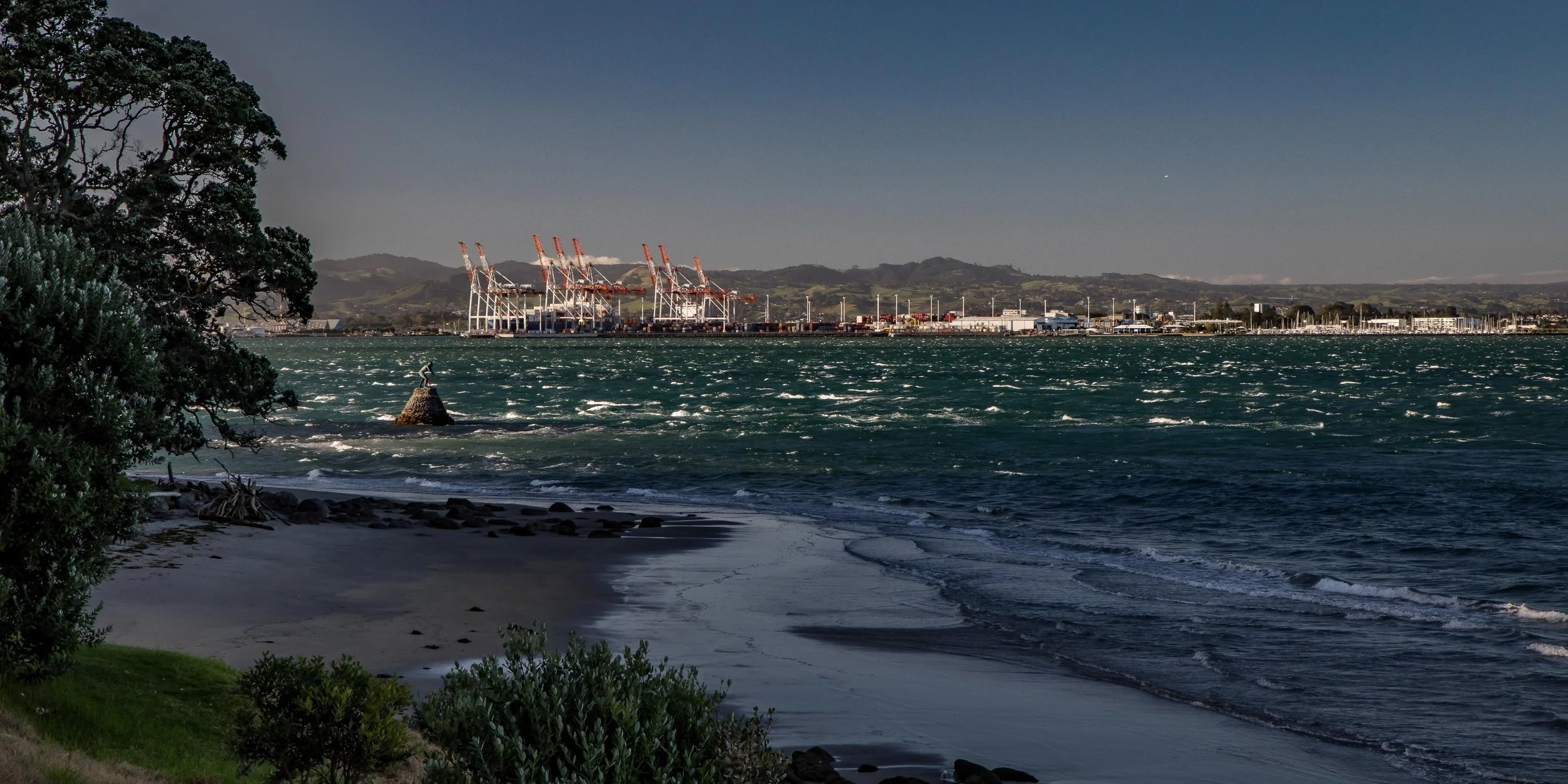 Mt Maunganui,Port Of Tauranga,-987.JPG