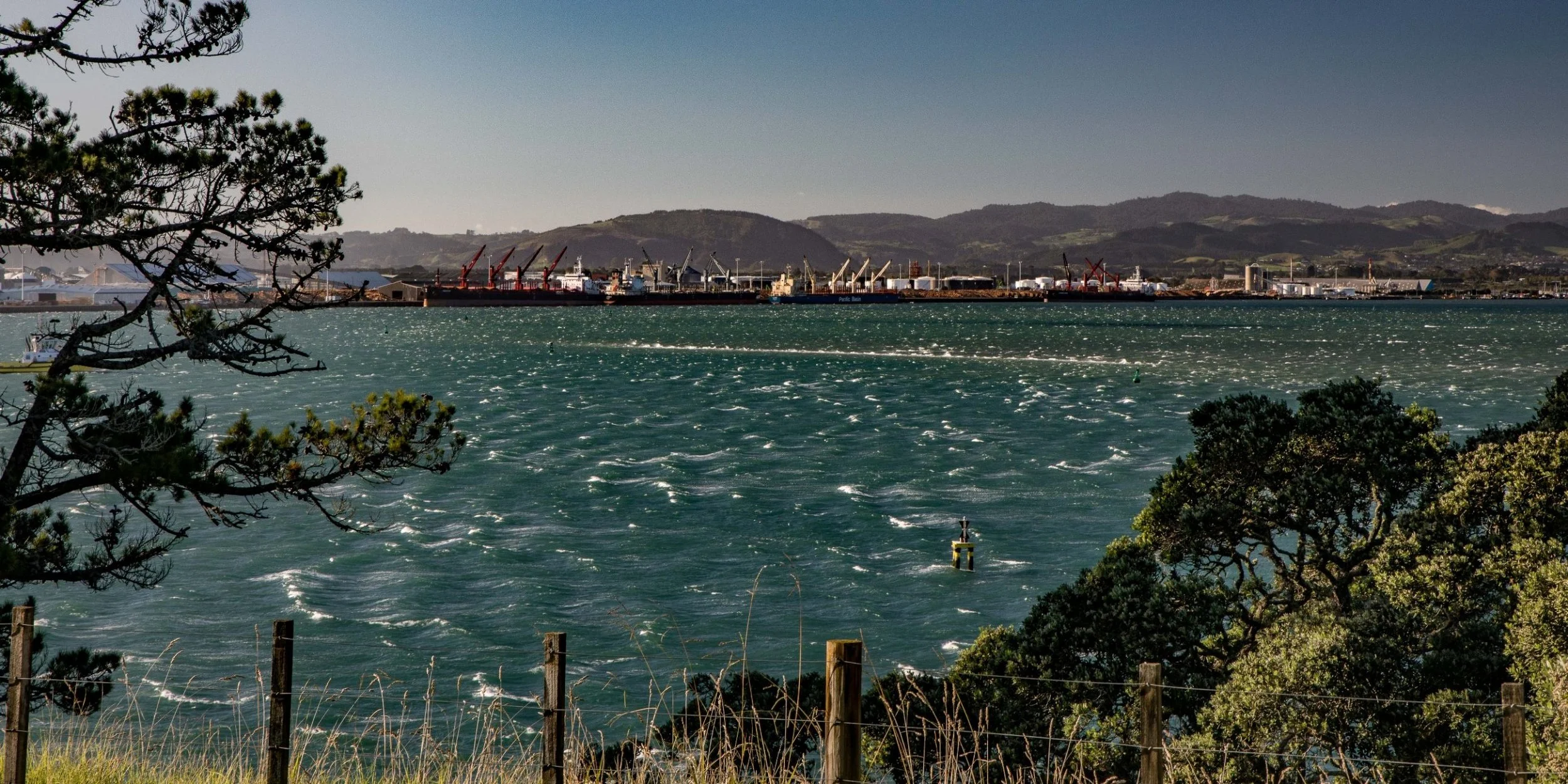 Mt Maunganui,Port Of Tauranga,-998.JPG