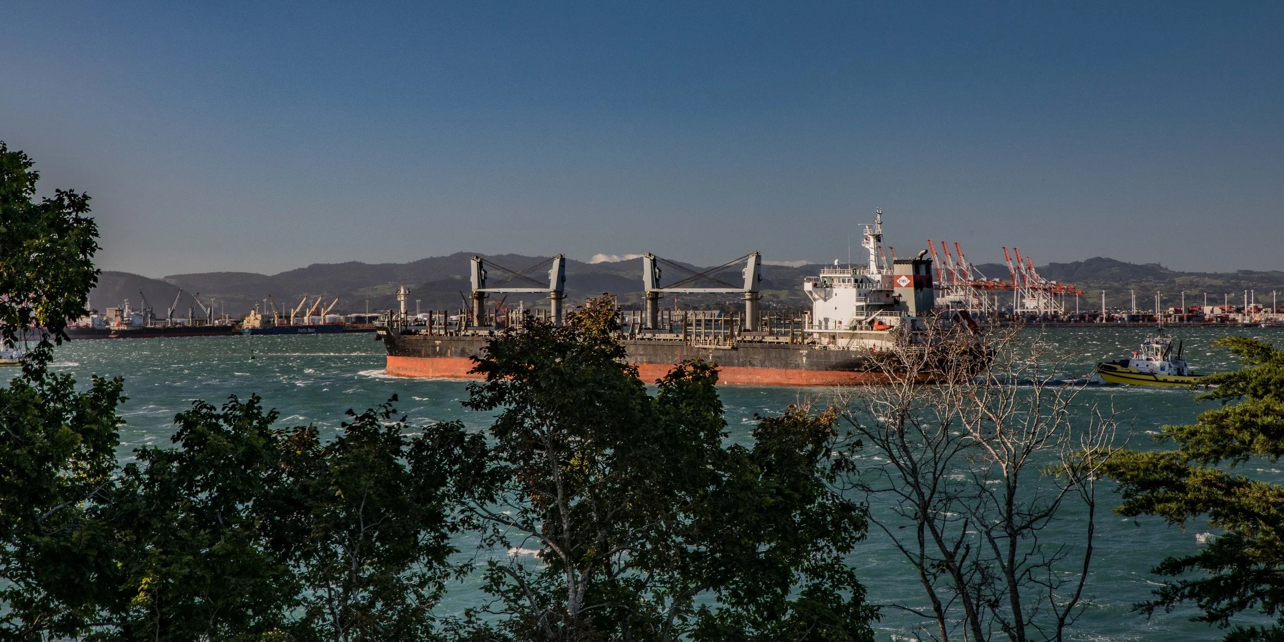 Mt Maunganui,Port Of Tauranga,-1009.JPG