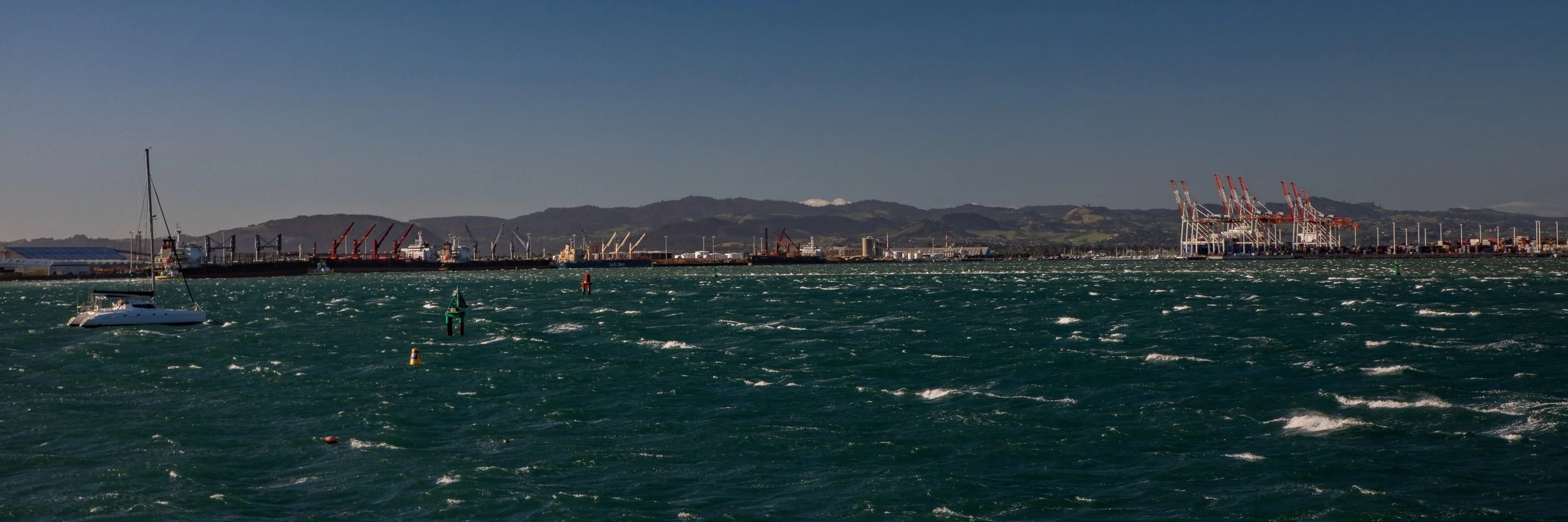 Mt Maunganui,Port Of Tauranga,-1011.JPG