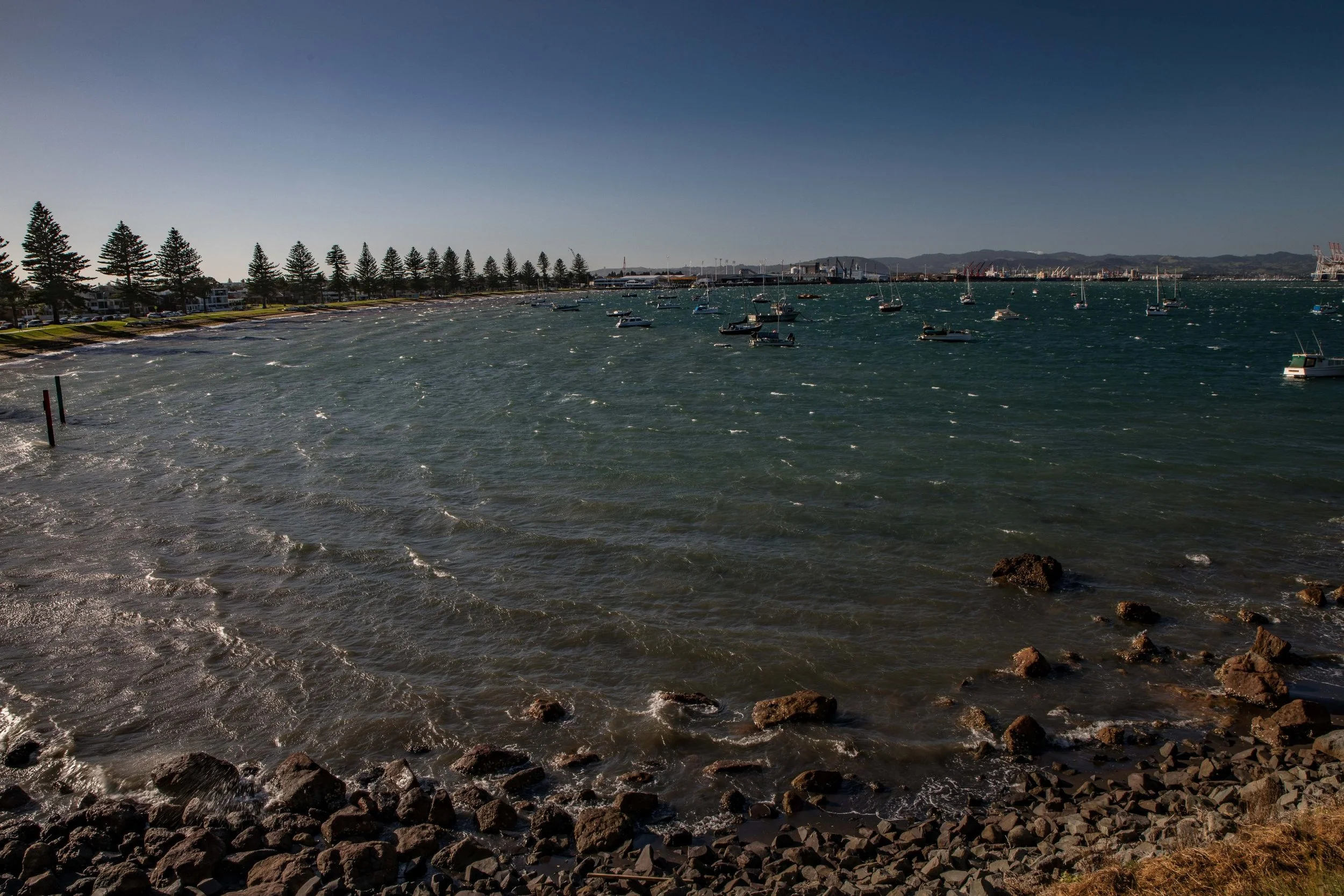 Mt Maunganui,Port Of Tauranga,-1016.JPG