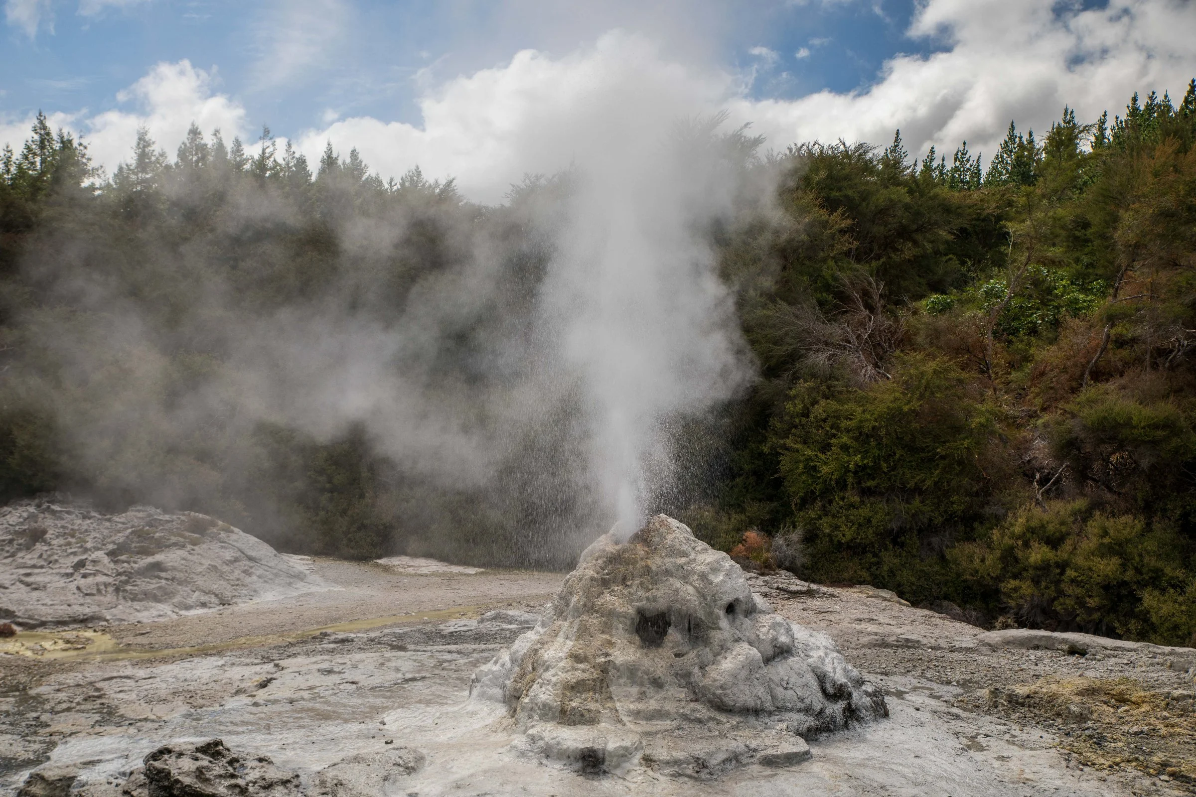 Lady Knox Geyser,-756.JPG