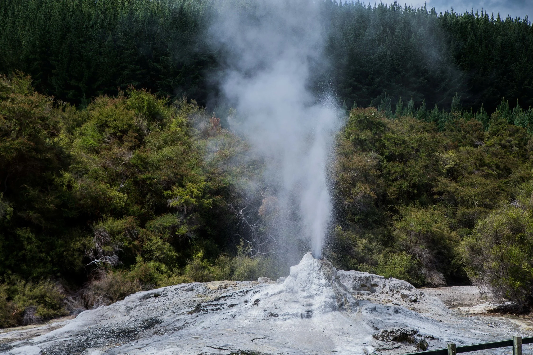 Lady Knox Geyser,-750.JPG