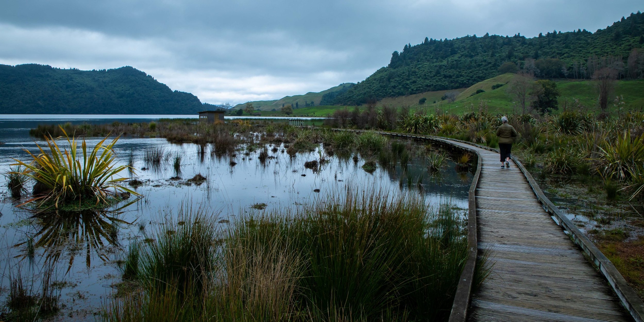 Lake Okareka Walkway,-086.JPG