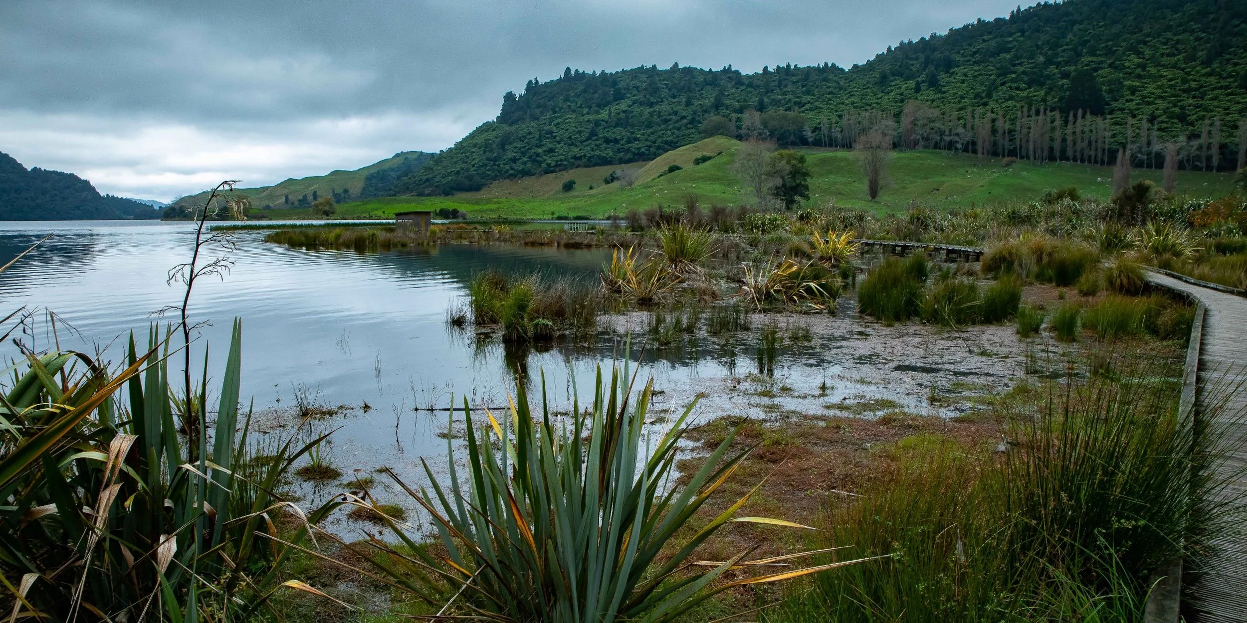 Lake Okareka Walkway,-085.JPG