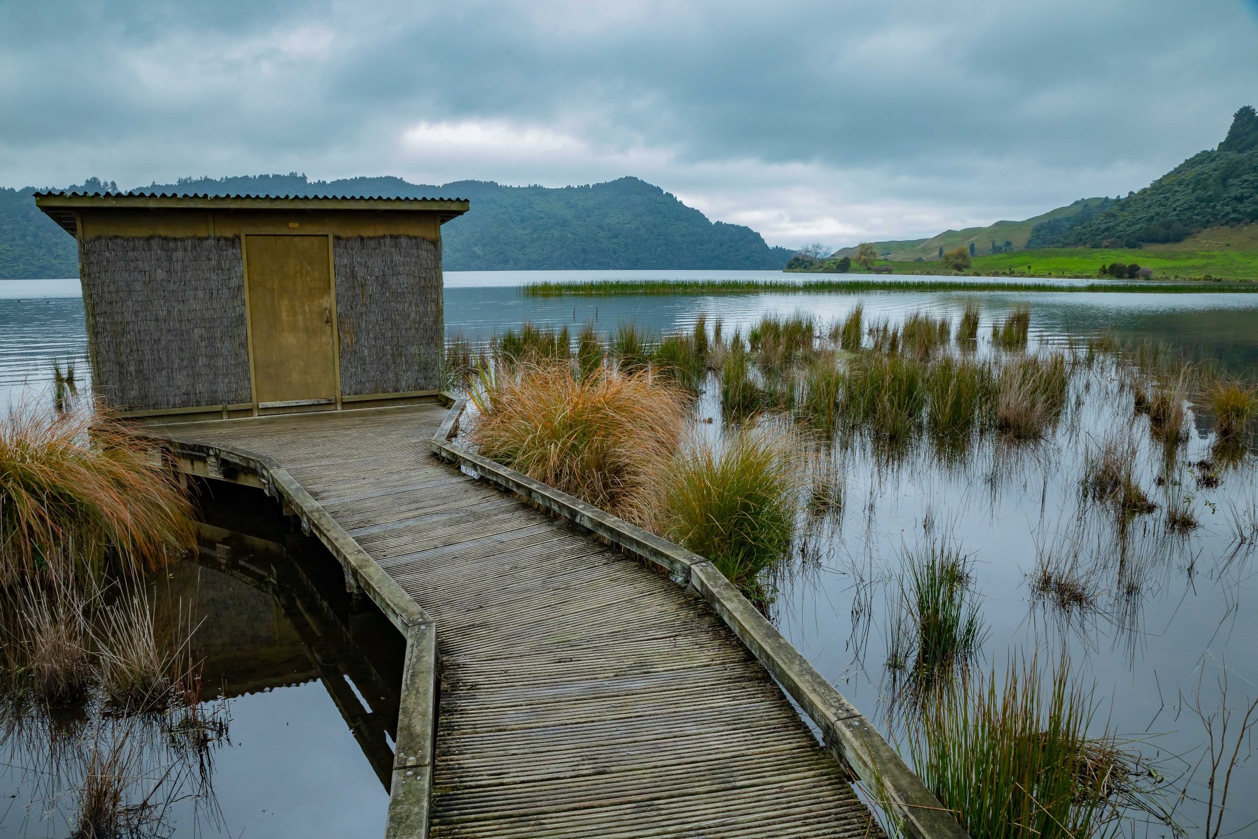 Lake Okareka Walkway,-089.JPG