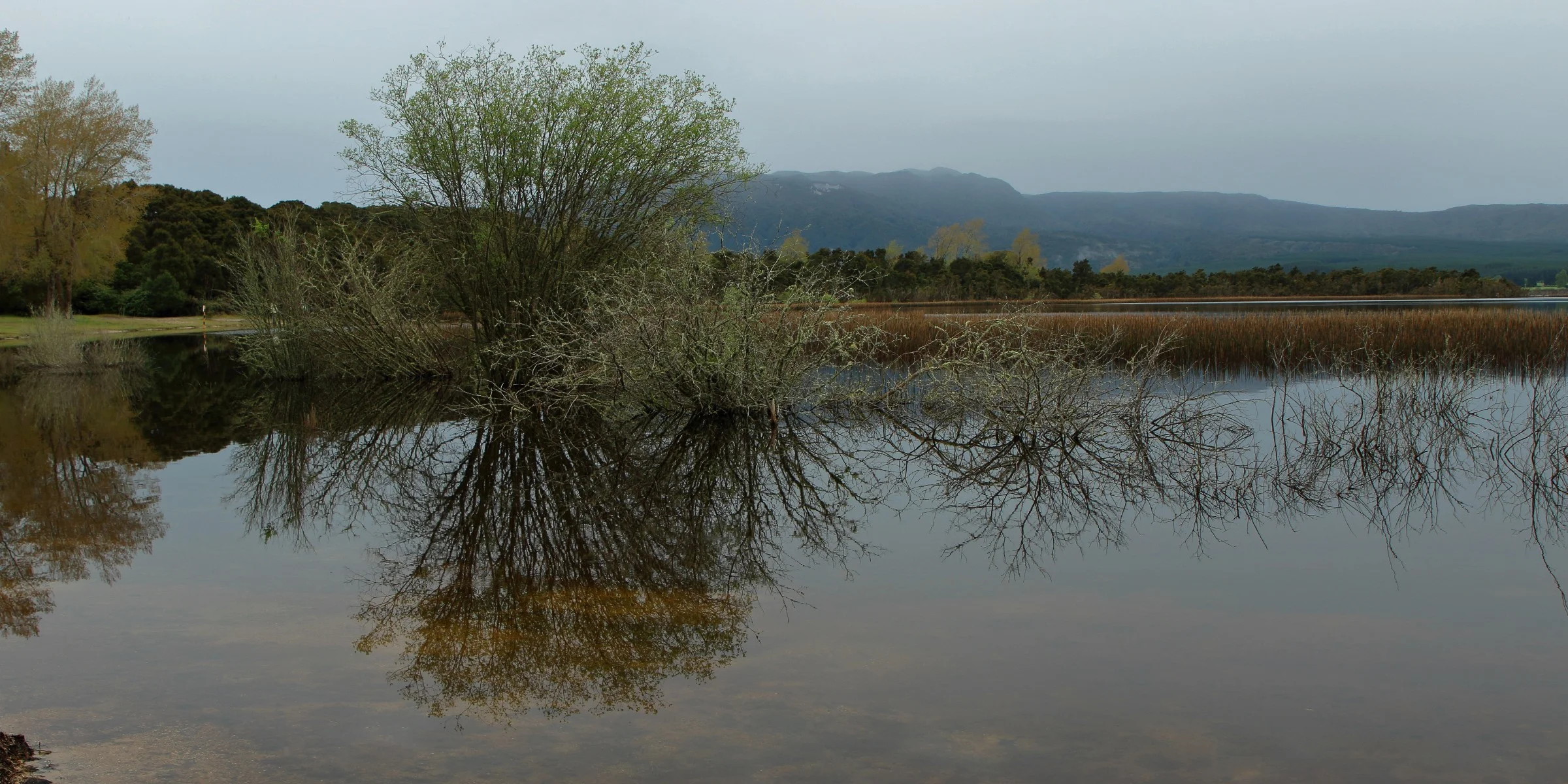 Lake Rerewhakaaitu,-193.JPG