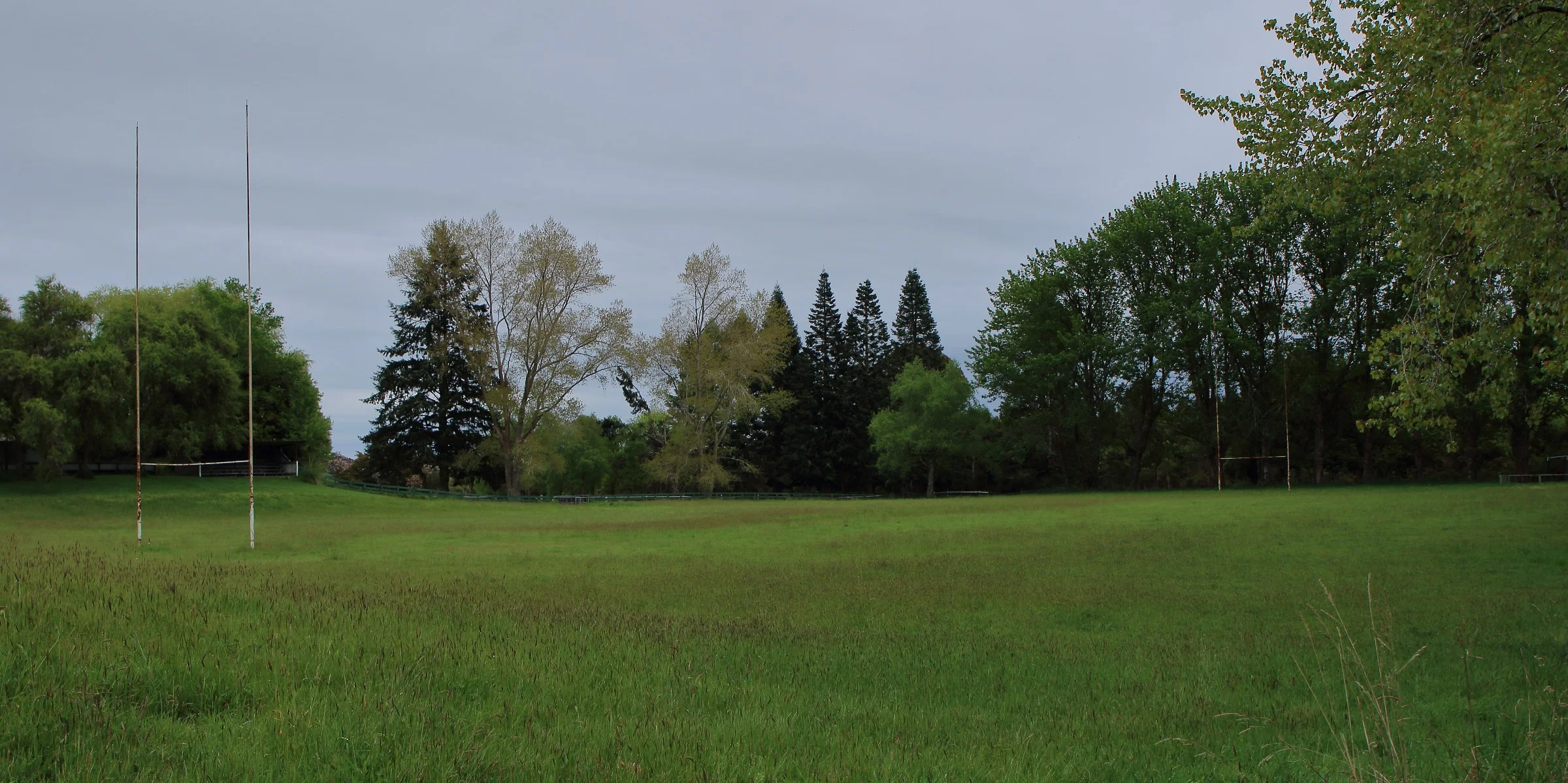 Lake Rerewhakaaitu,-198.JPG