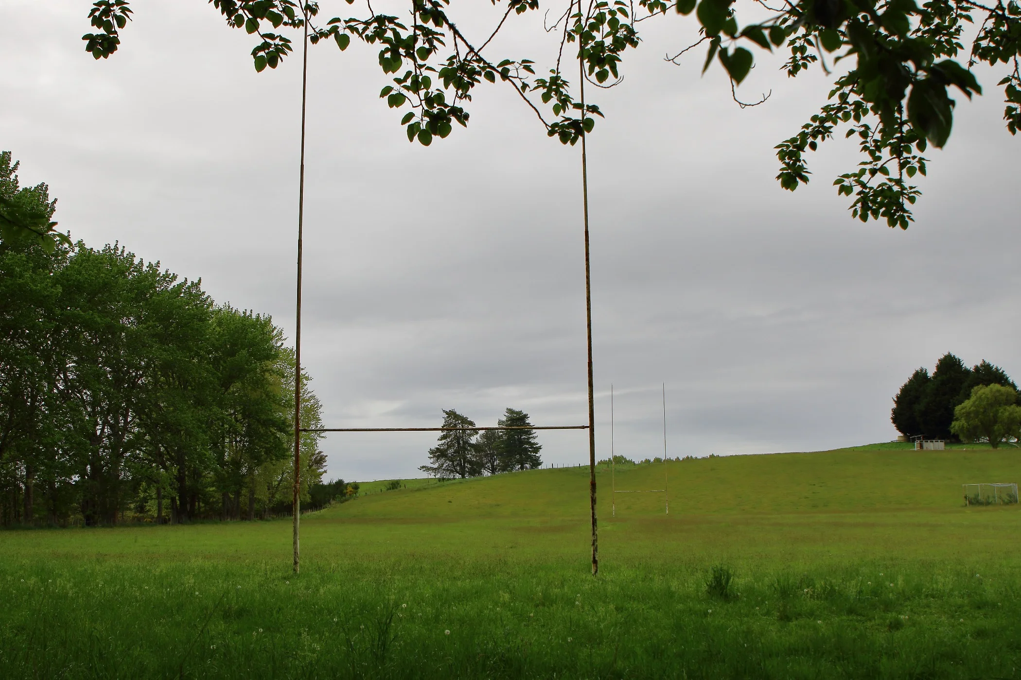 Lake Rerewhakaaitu,-201.JPG