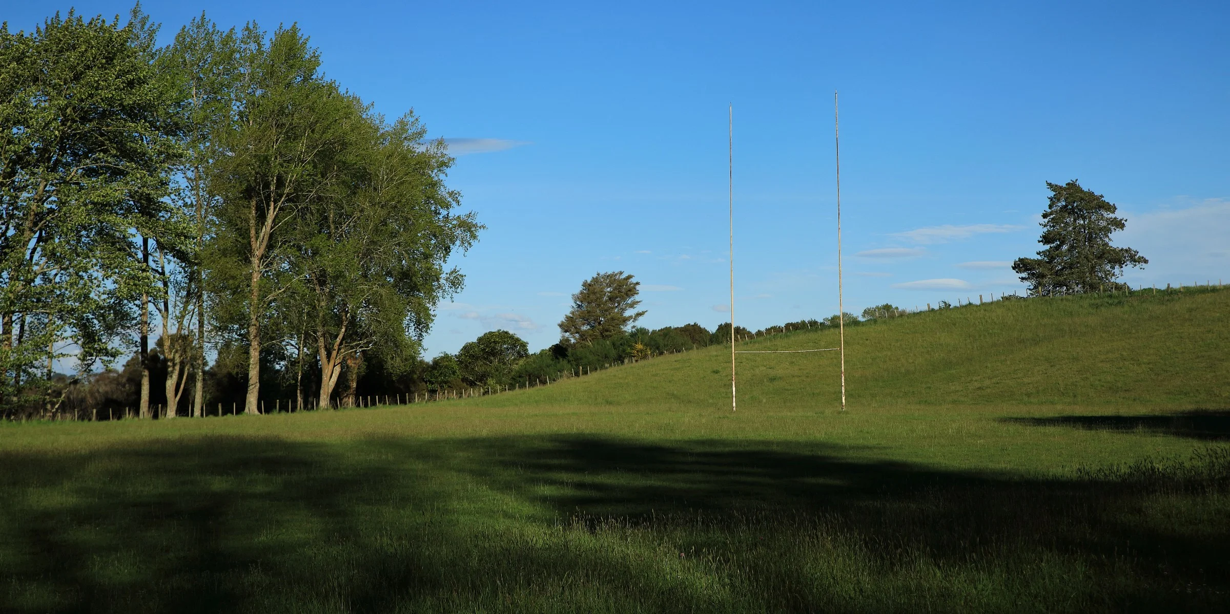 Lake Rerewhakaaitu,-252.JPG