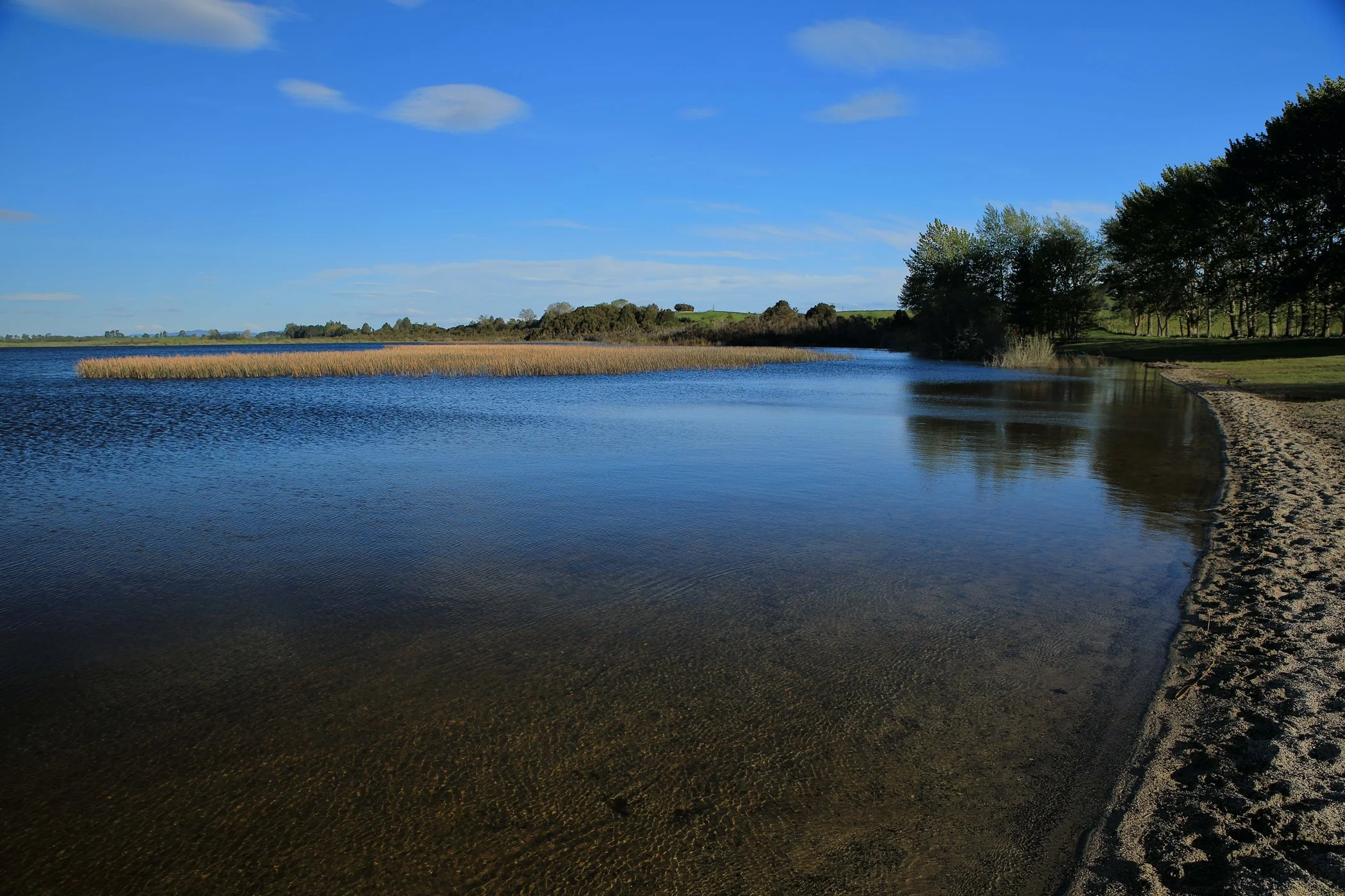 Lake Rerewhakaaitu,-255.JPG