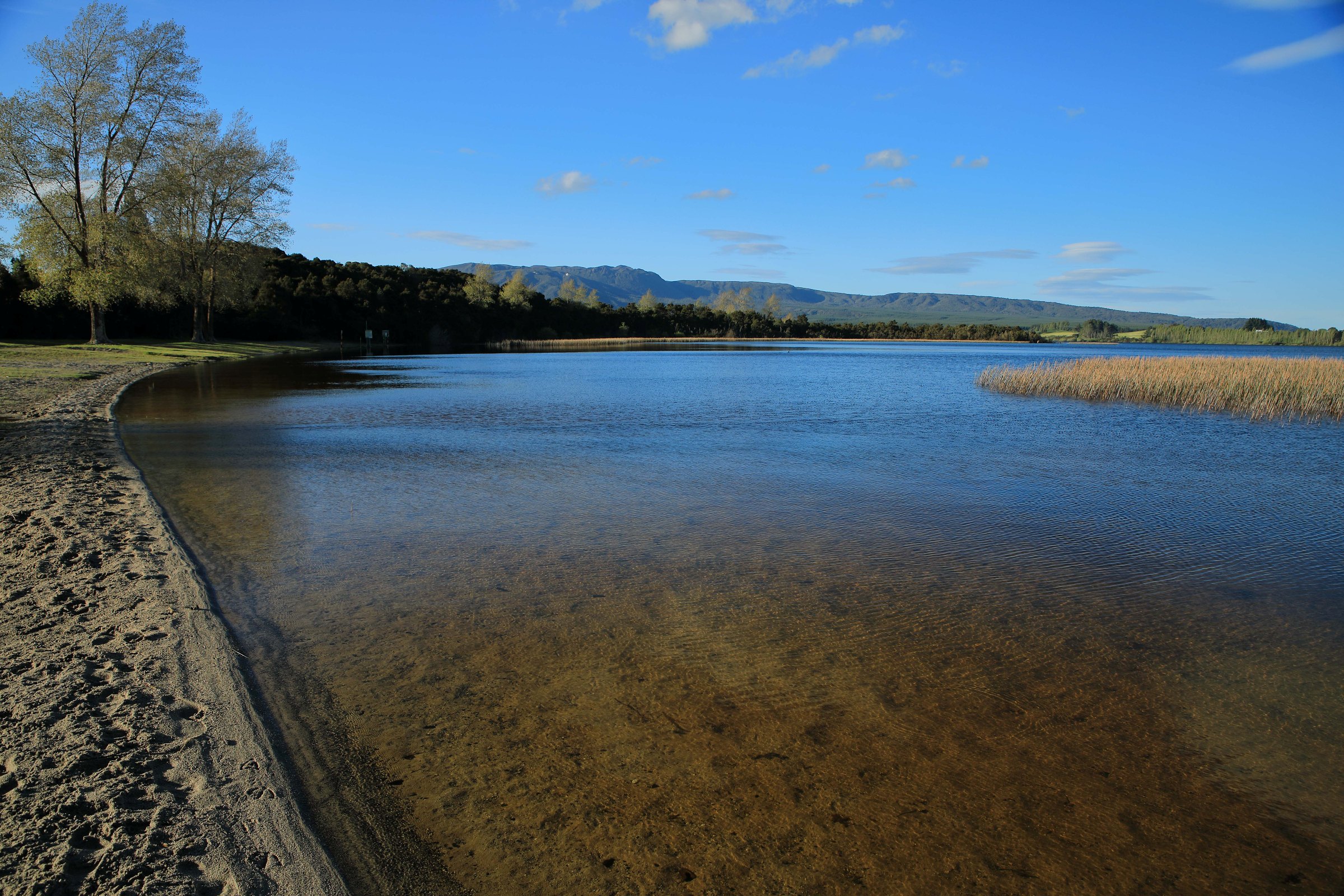 Lake Rerewhakaaitu,-254.JPG