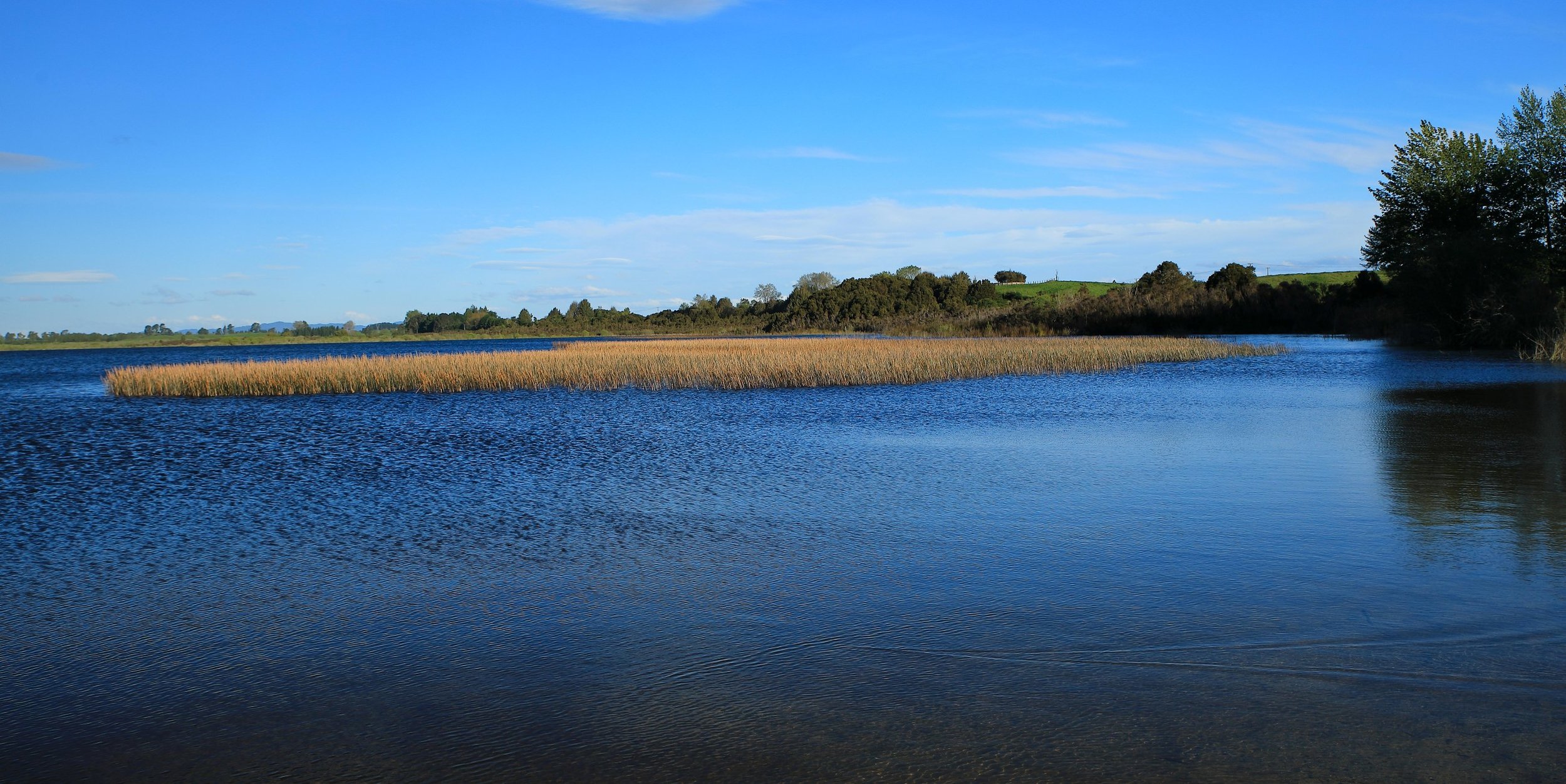 Lake Rerewhakaaitu,-256.JPG
