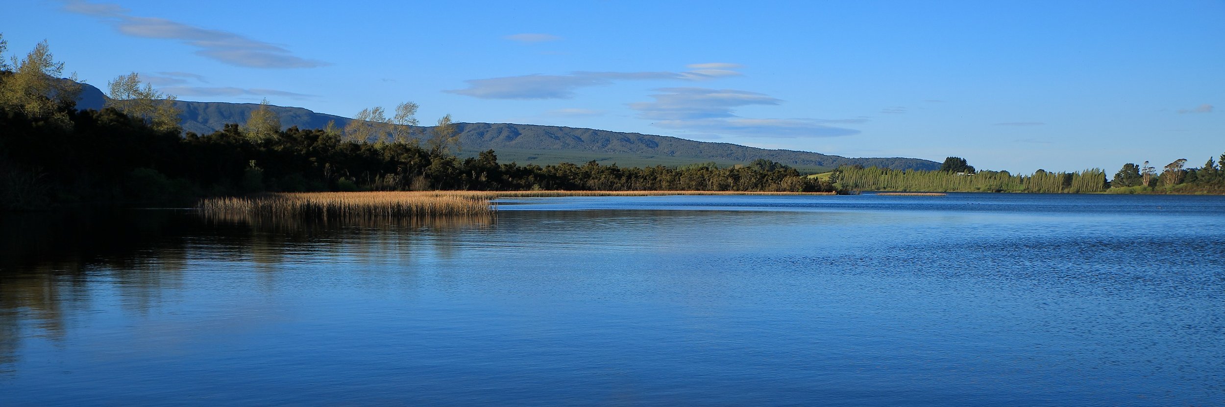 Lake Rerewhakaaitu,-258.JPG