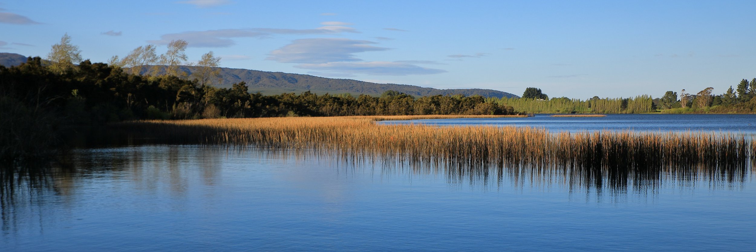 Lake Rerewhakaaitu,-261.JPG