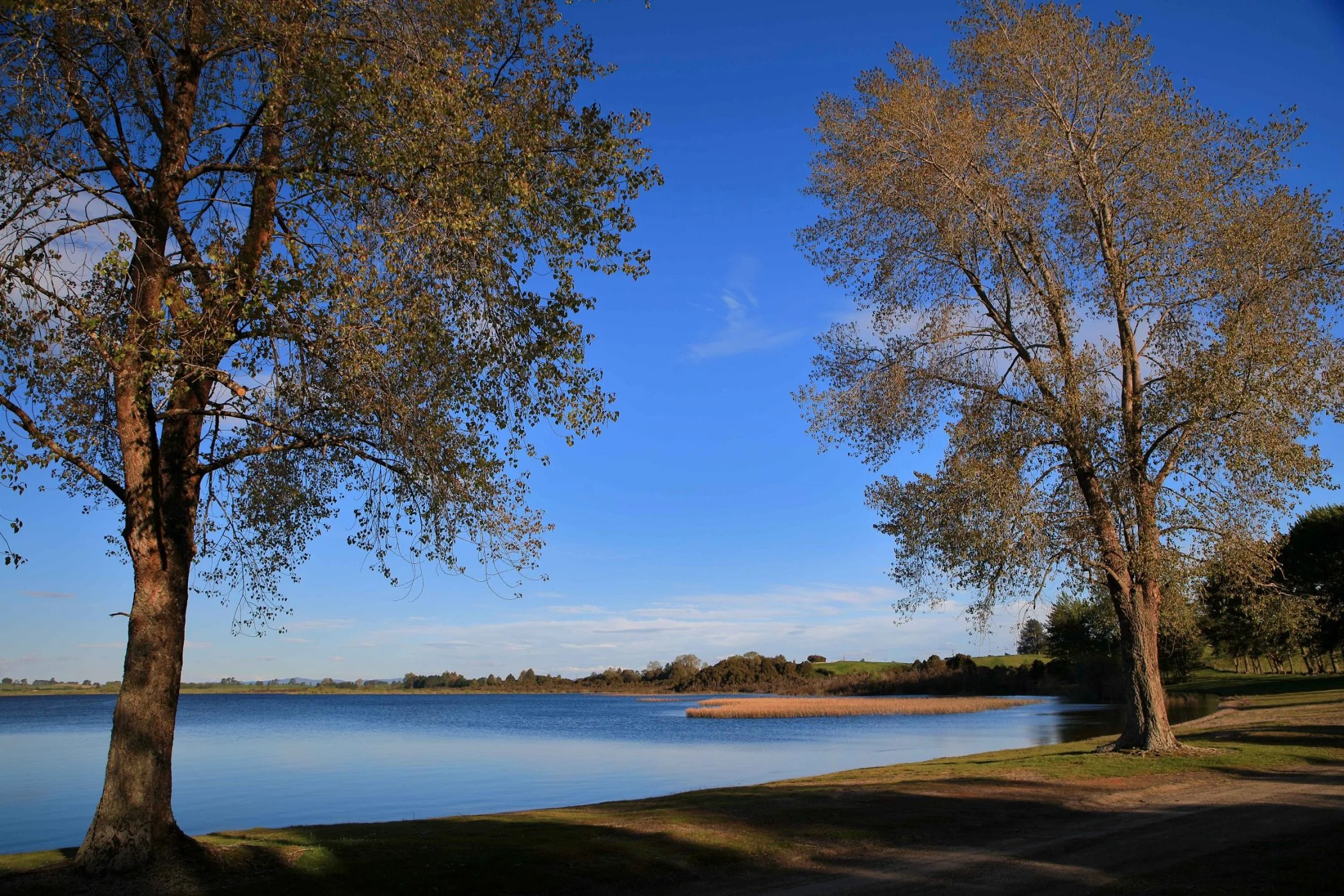 Lake Rerewhakaaitu,-269.JPG