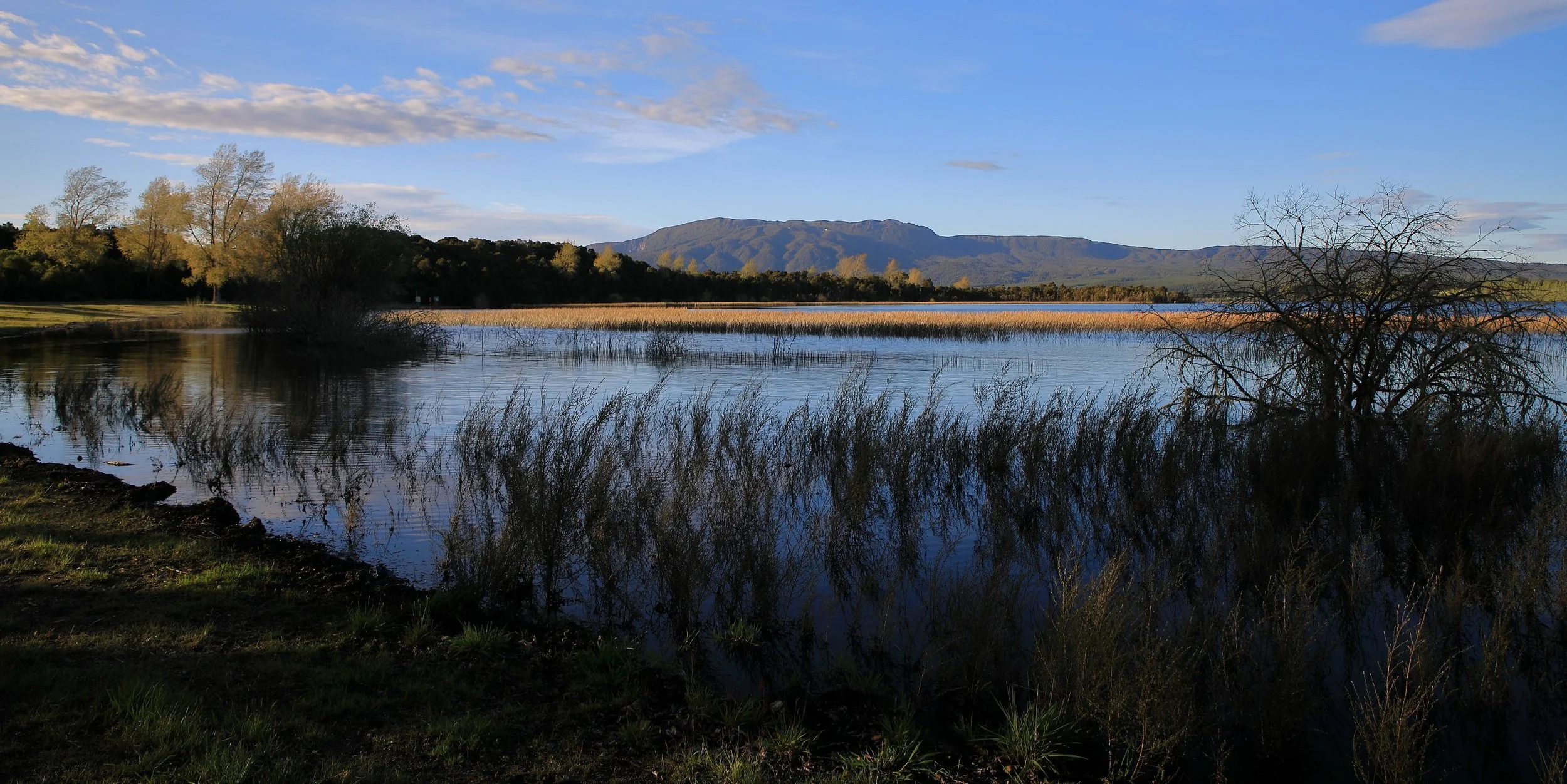 Lake Rerewhakaaitu,-276.JPG