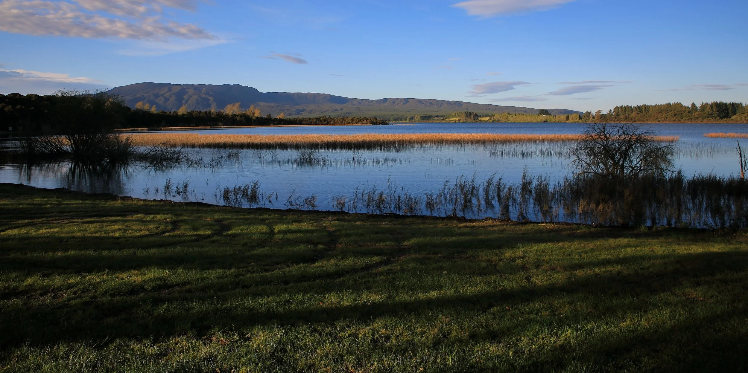 Lake Rerewhakaaitu,-287.JPG
