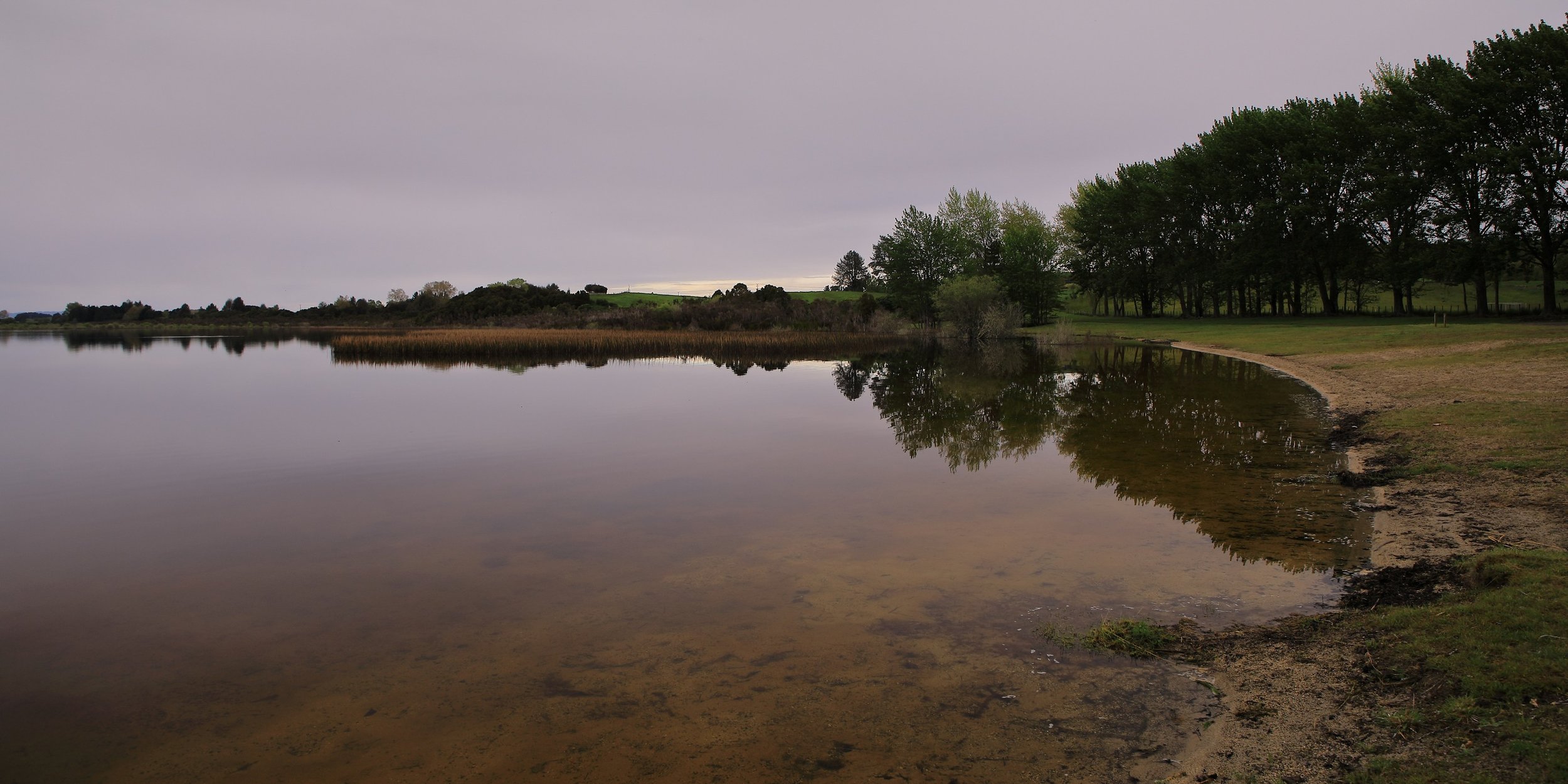 Lake Rerewhakaaitu,-328.JPG