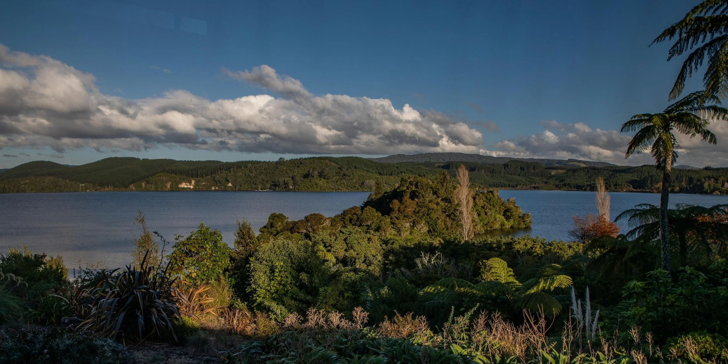 Lake Rotoiti,-207.JPG
