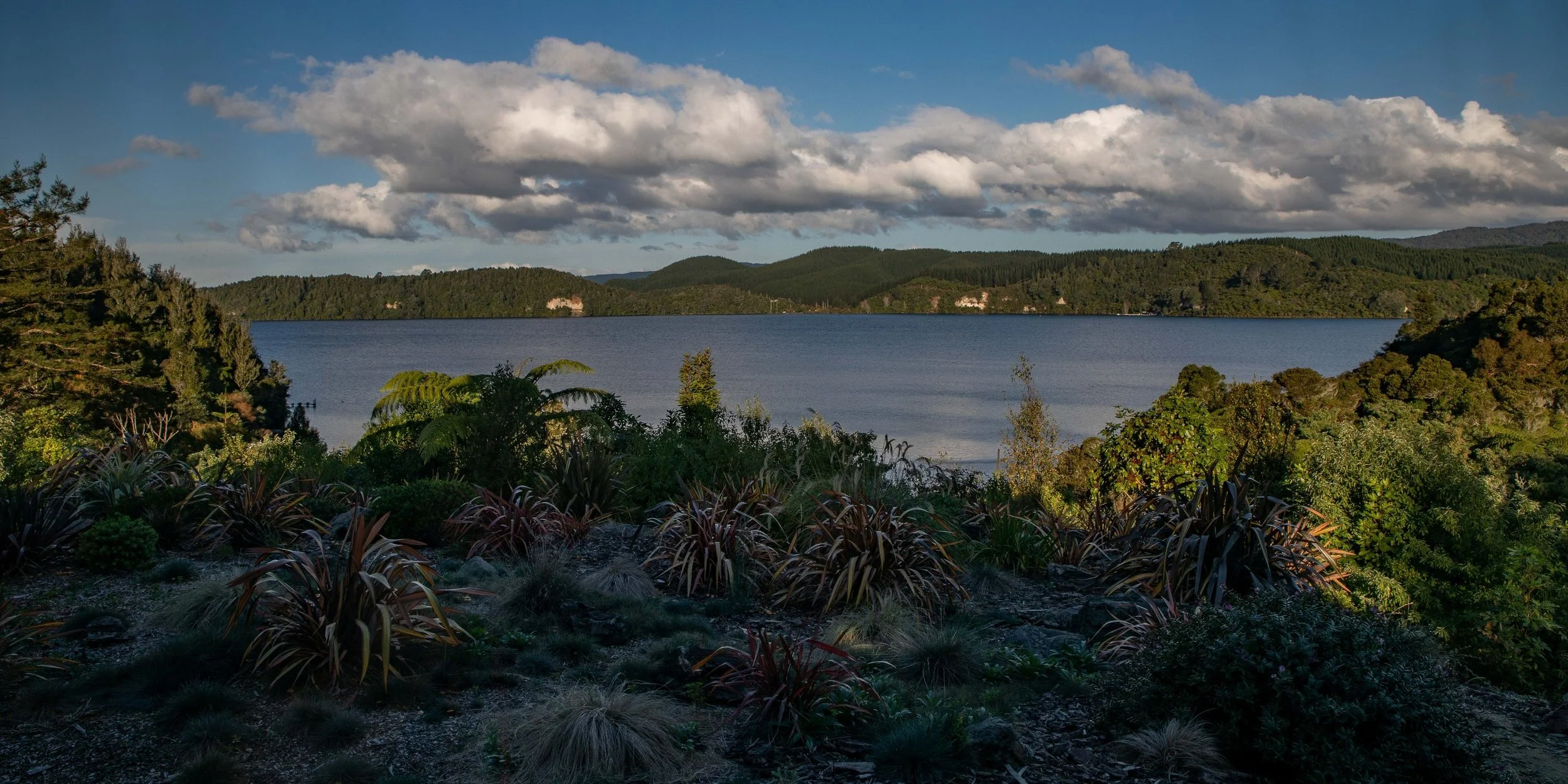 Lake Rotoiti,-208.JPG