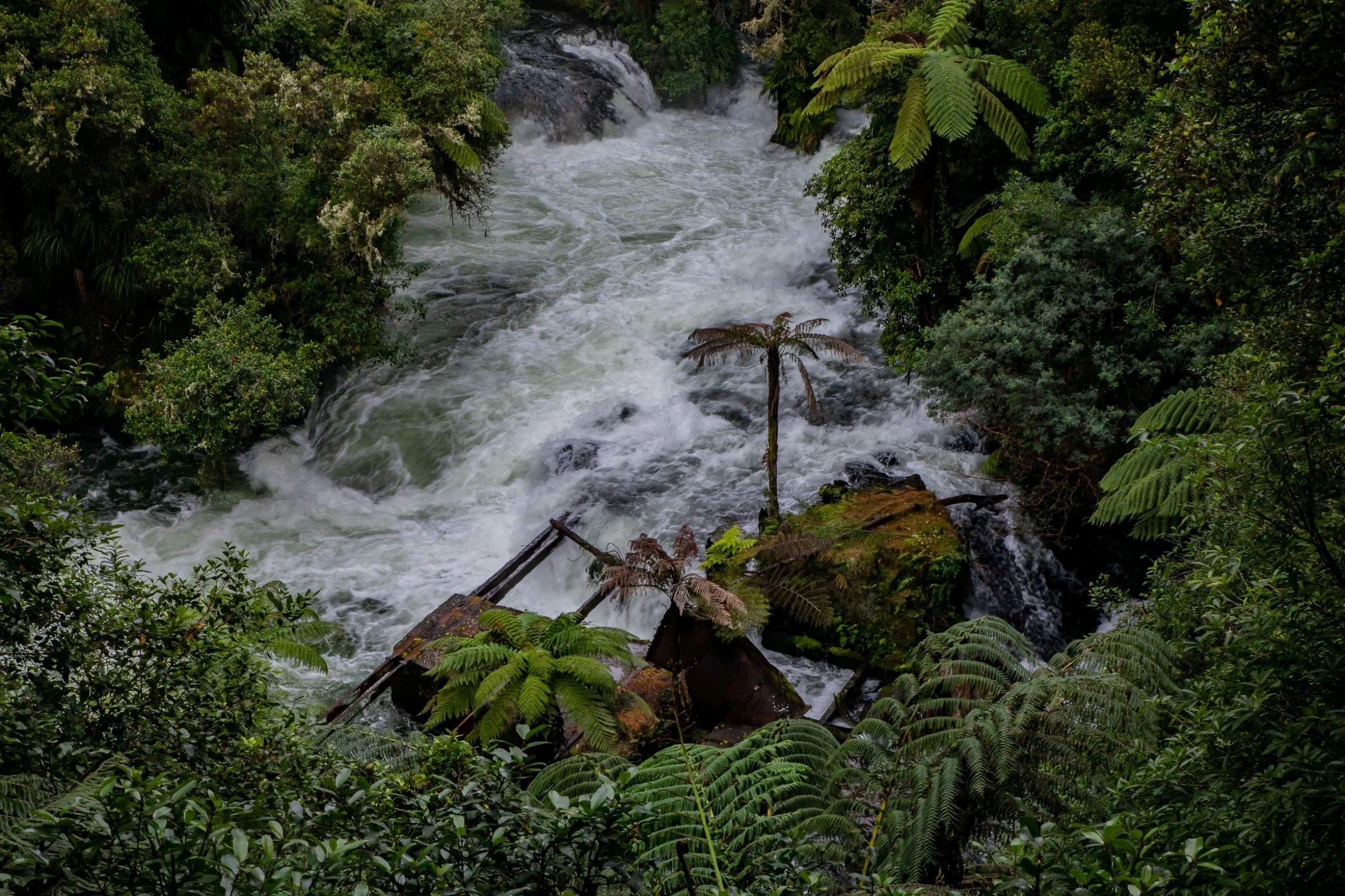 Lake Rotoiti,Okere Falls,Disused Power Station,-065.JPG