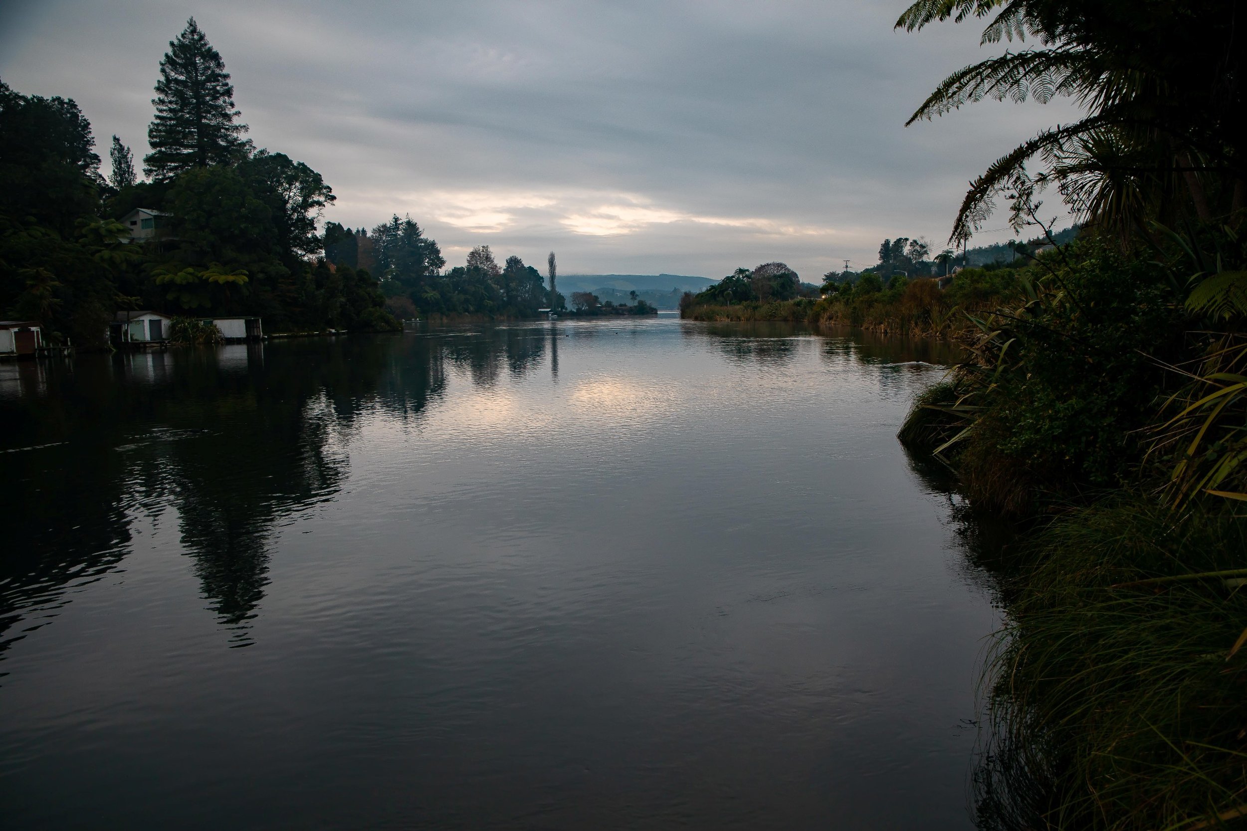 Lake Rotoiti,Okere Inlet,-037.JPG