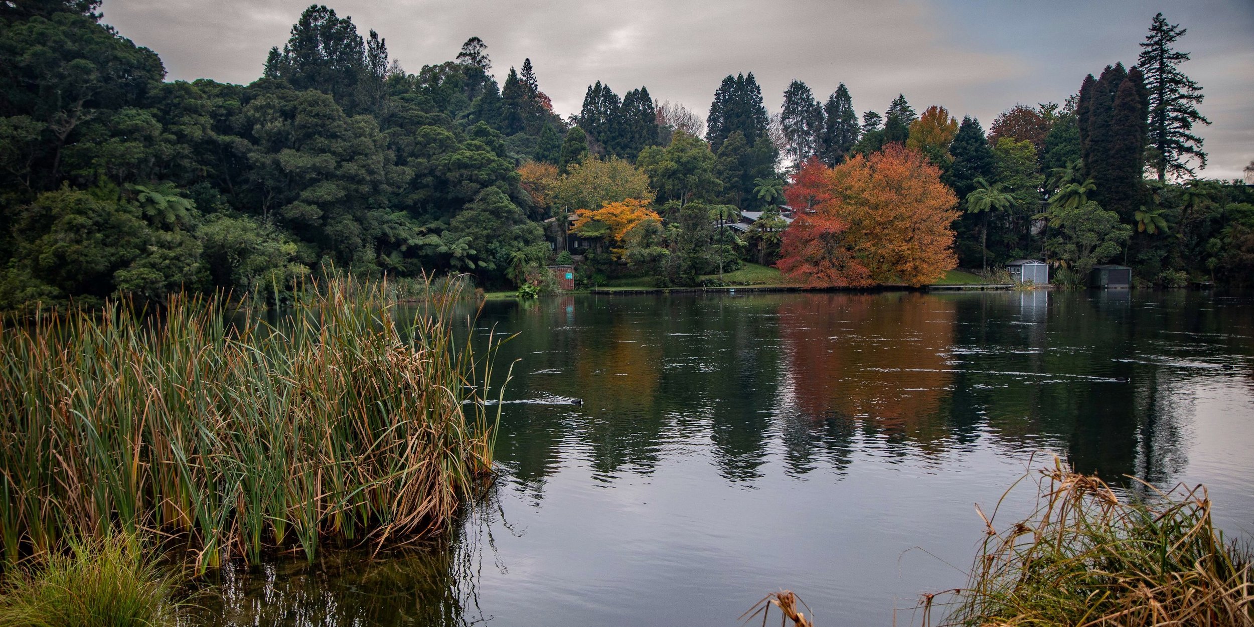 Lake Rotoiti,Okere Inlet,-043.JPG