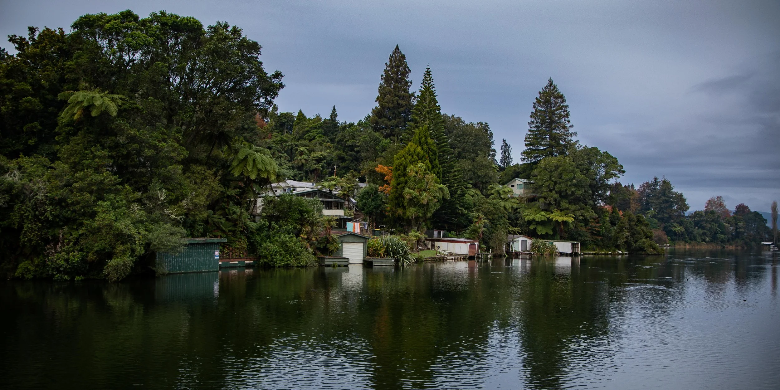 Lake Rotoiti,Okere Inlet,-044.JPG