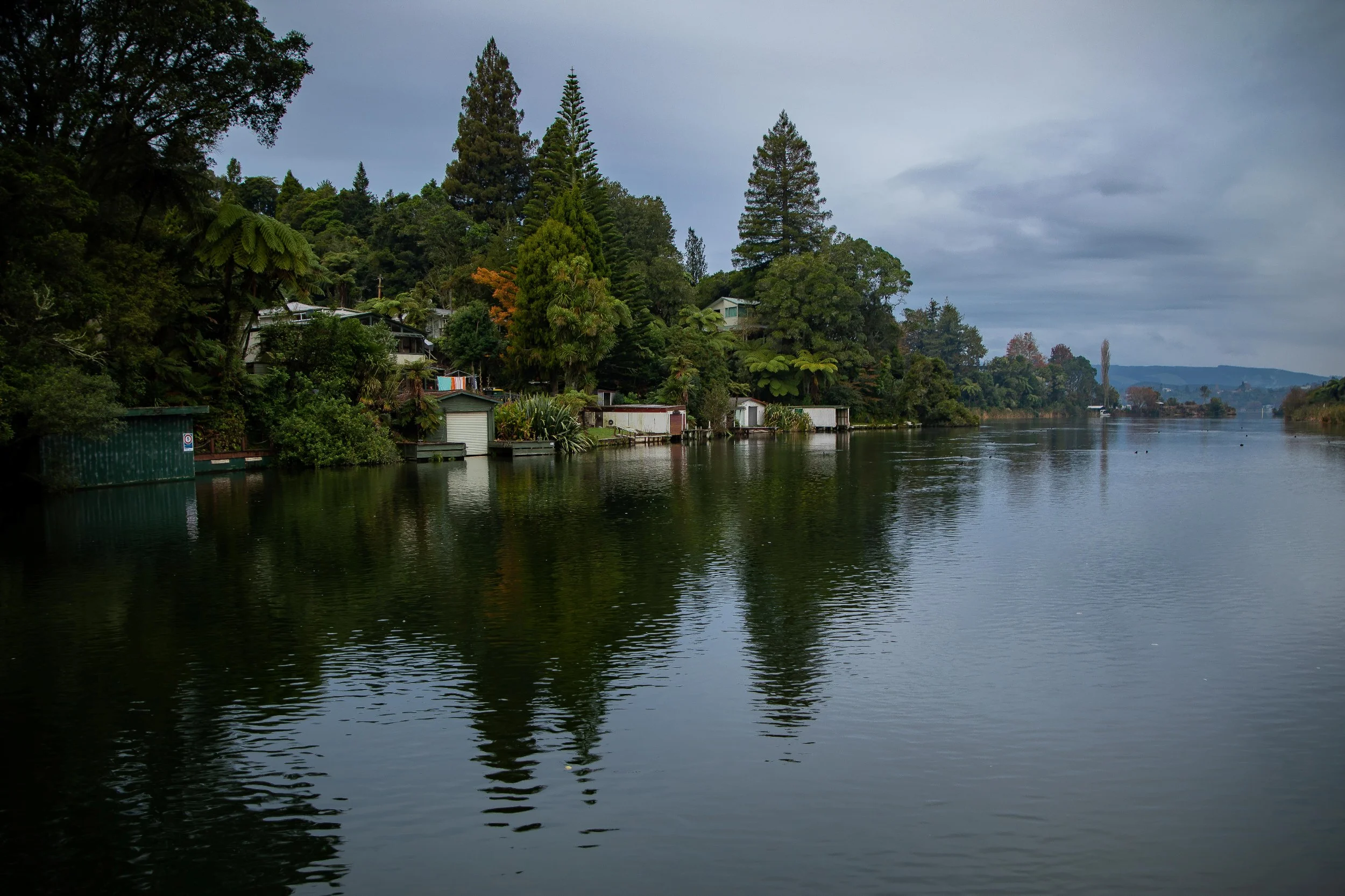 Lake Rotoiti,Okere Inlet,-045.JPG